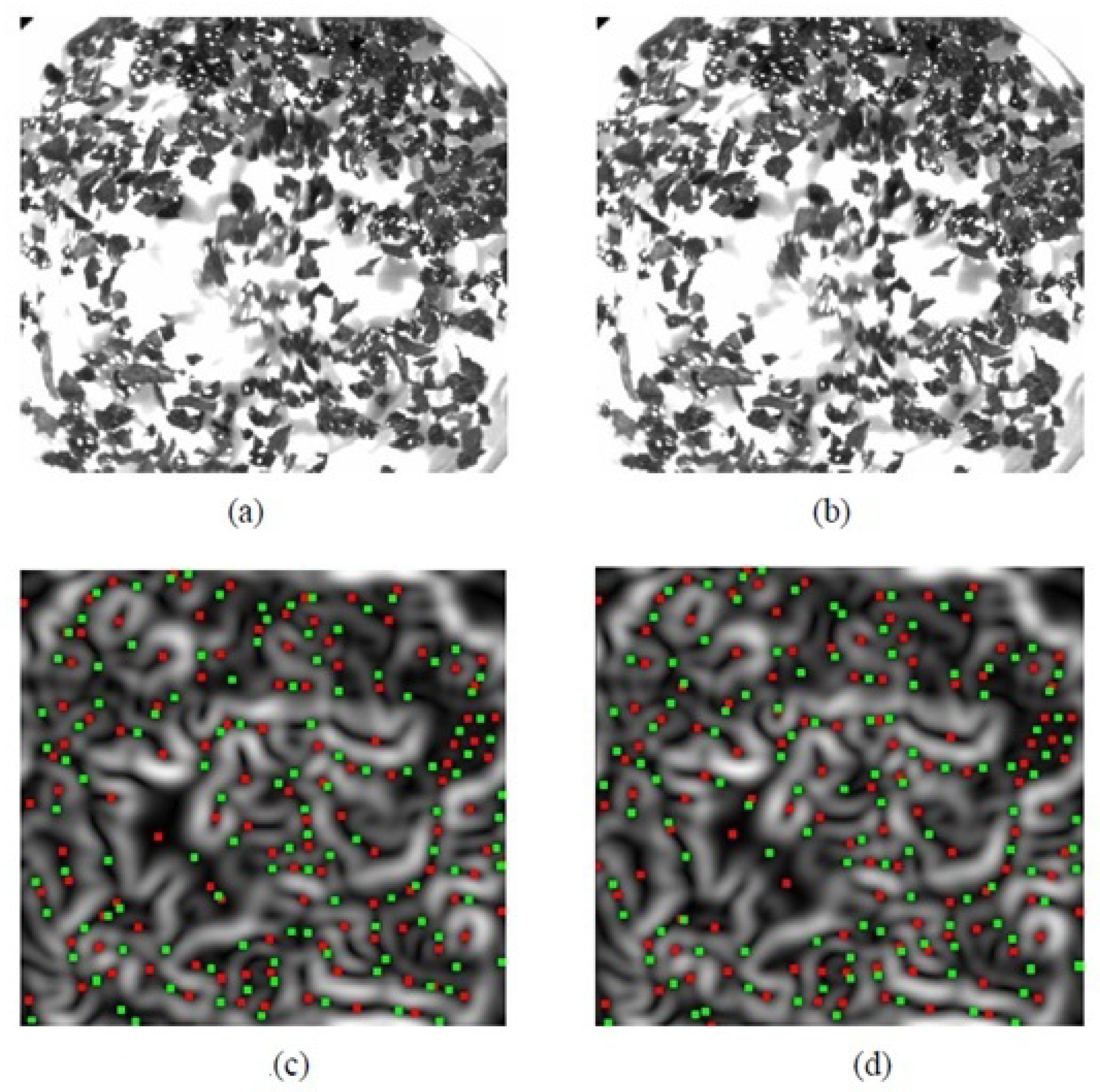 Photonics 12 00096 g015