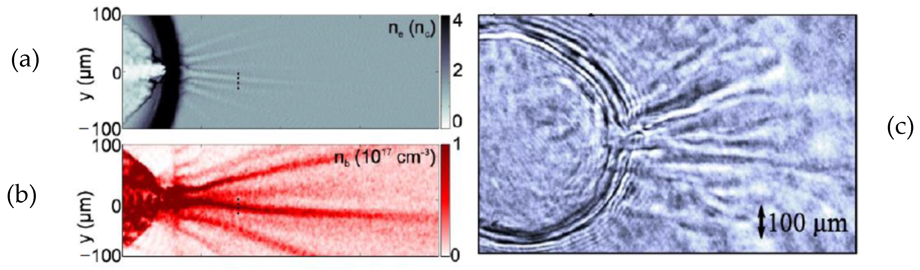 Photonics 12 00221 g010