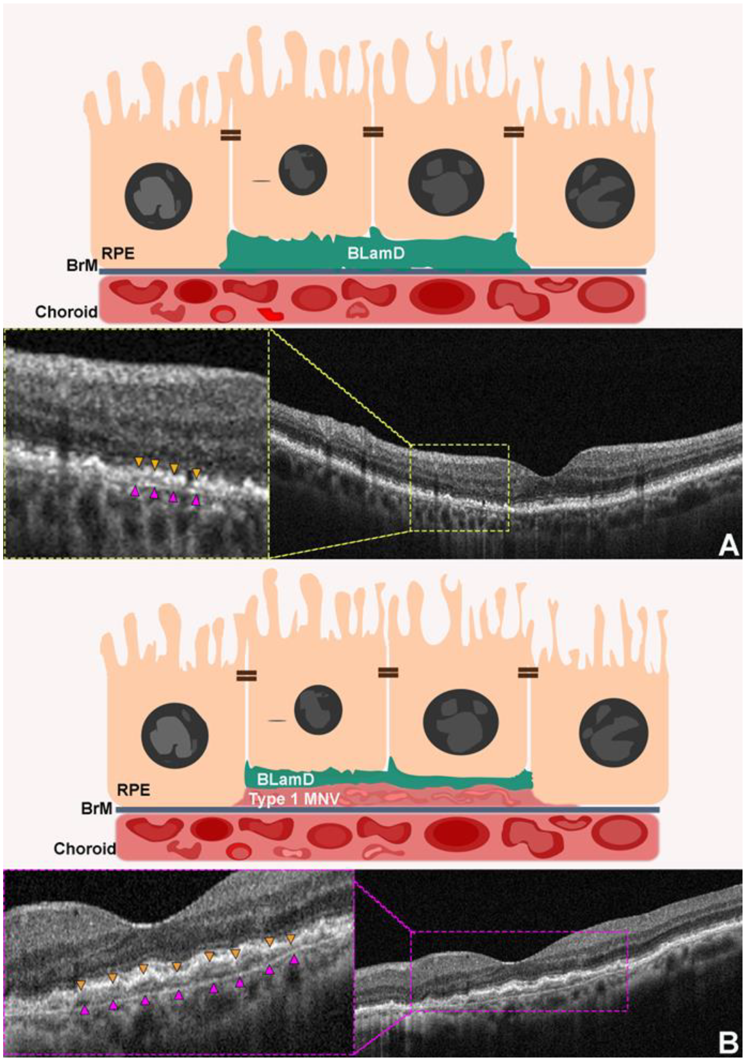 Photonics 12 00237 g003