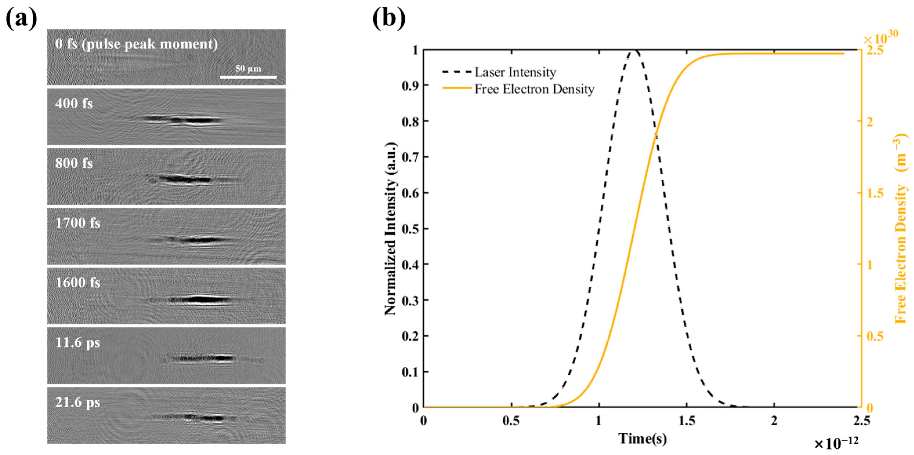 Photonics 12 00280 g007