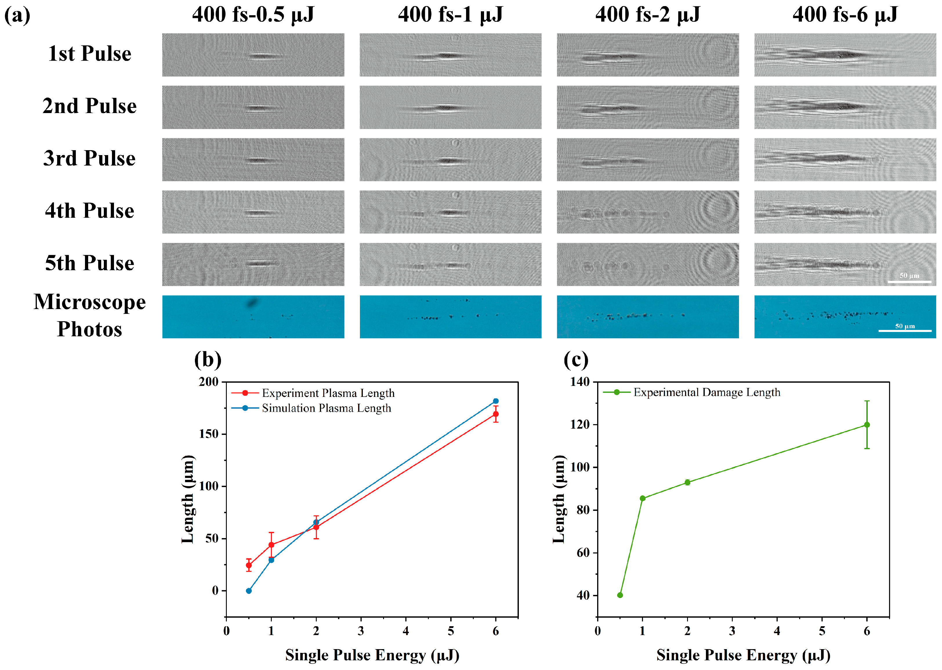 Photonics 12 00280 g008
