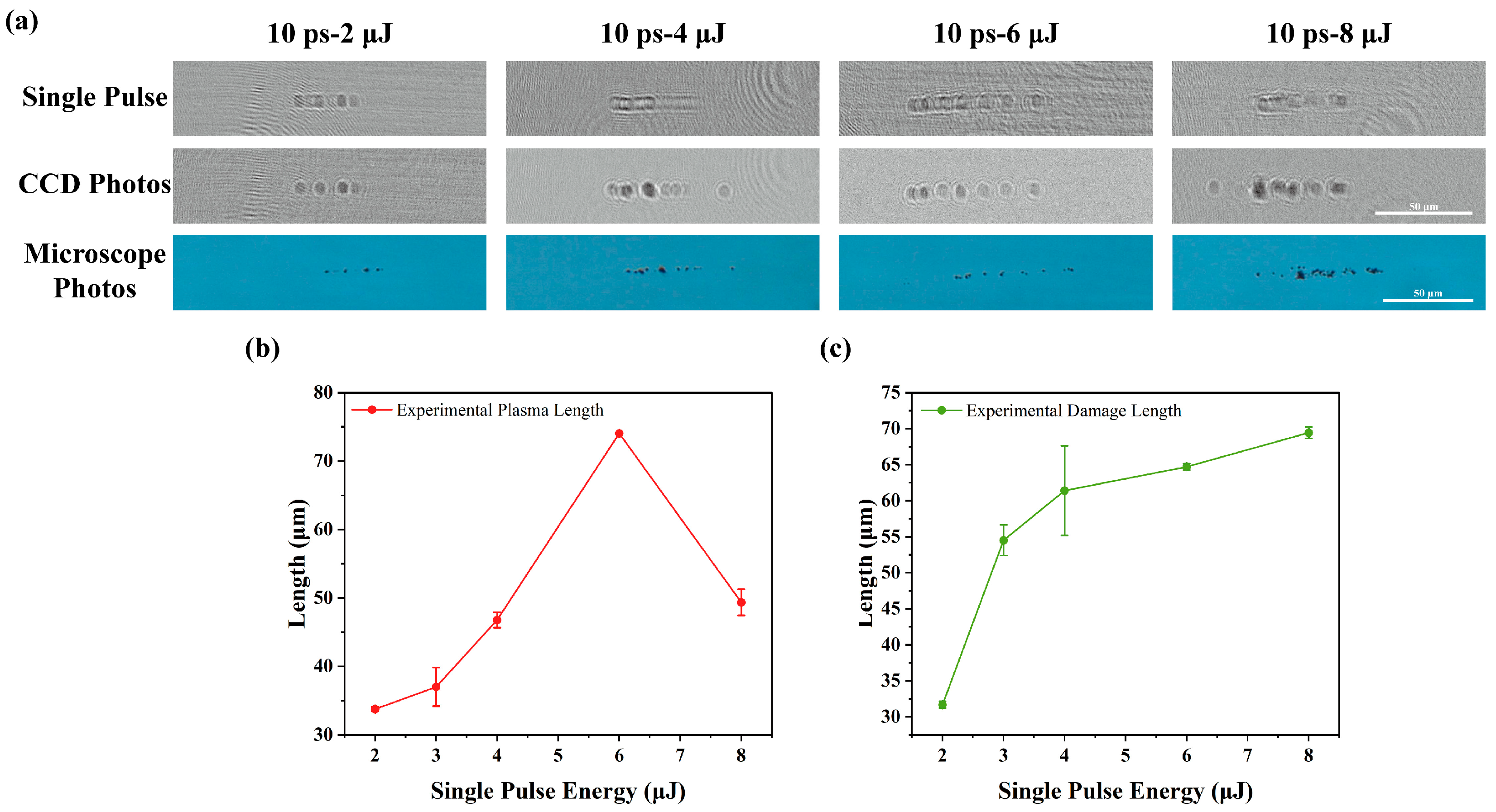 Photonics 12 00280 g009