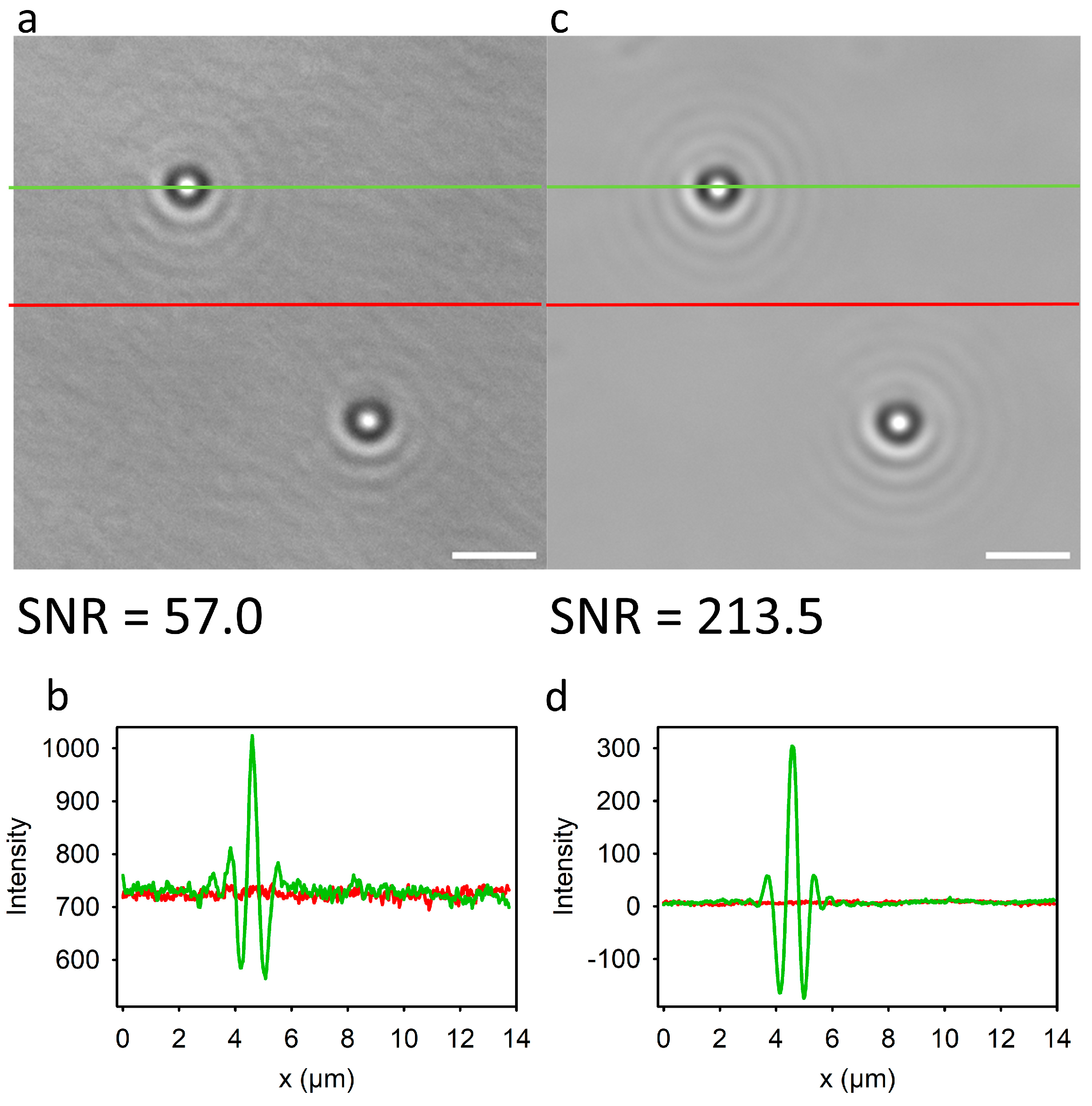Photonics 12 00314 g003