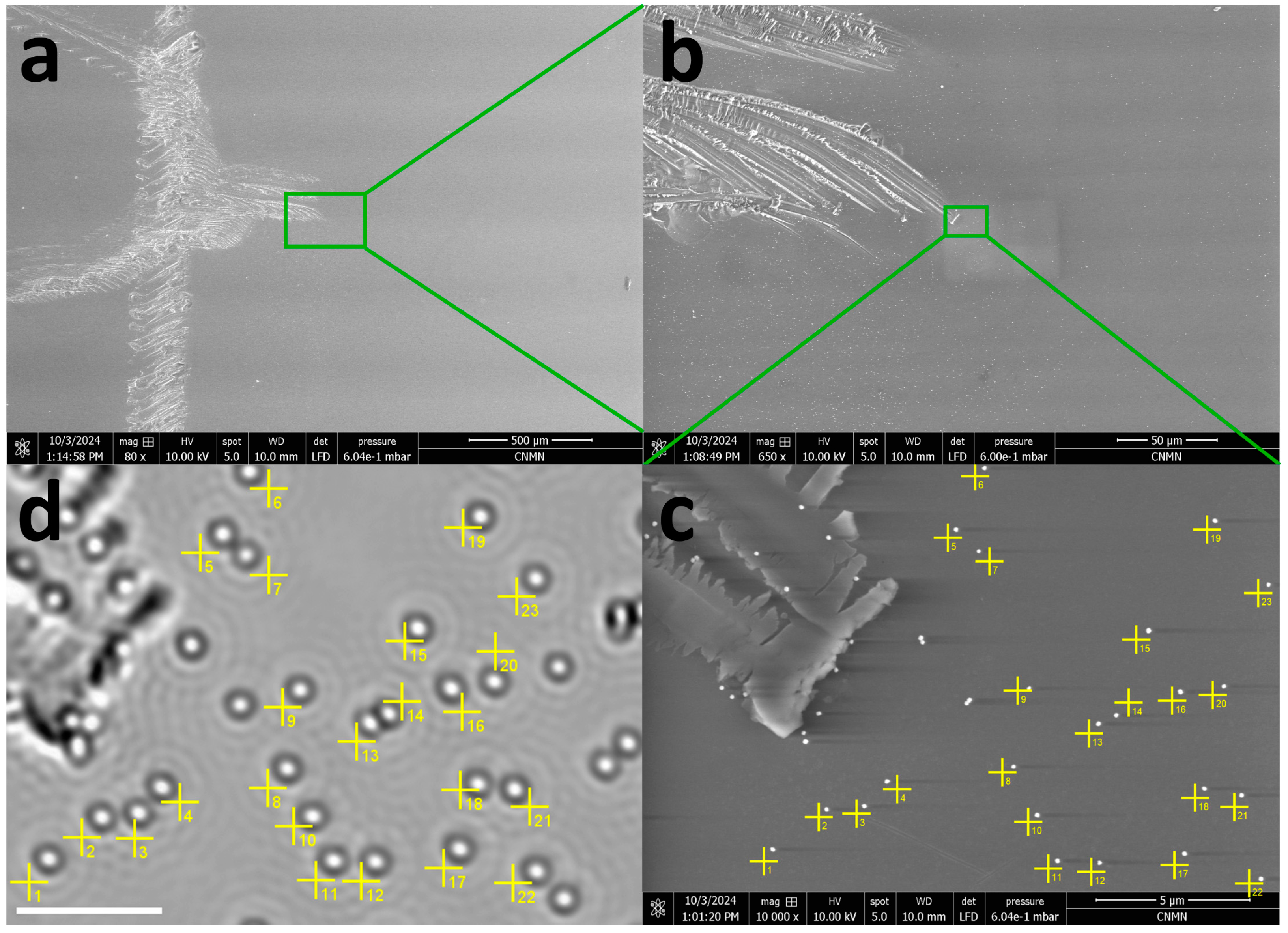 Photonics 12 00314 g004