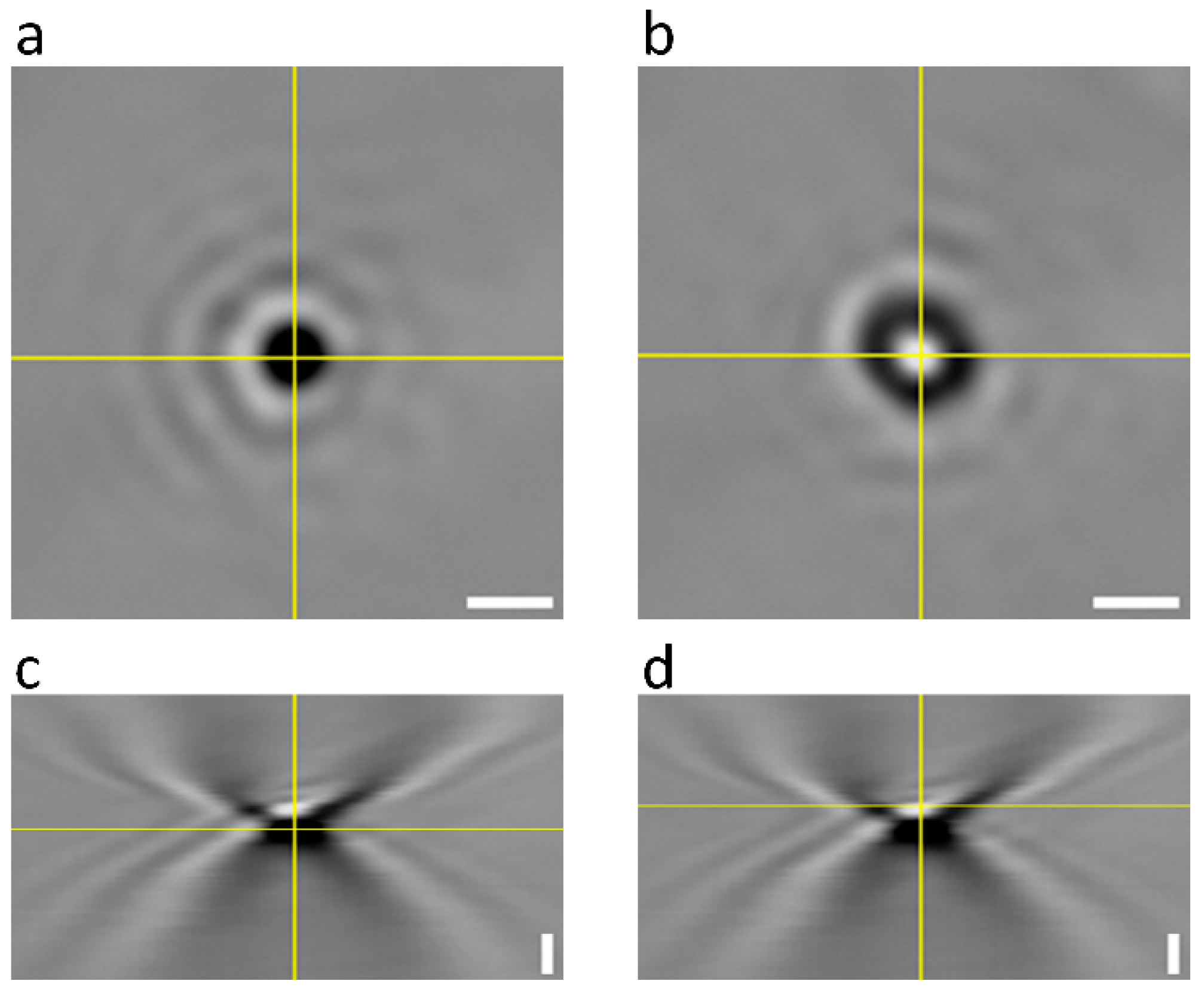 Photonics 12 00314 g005