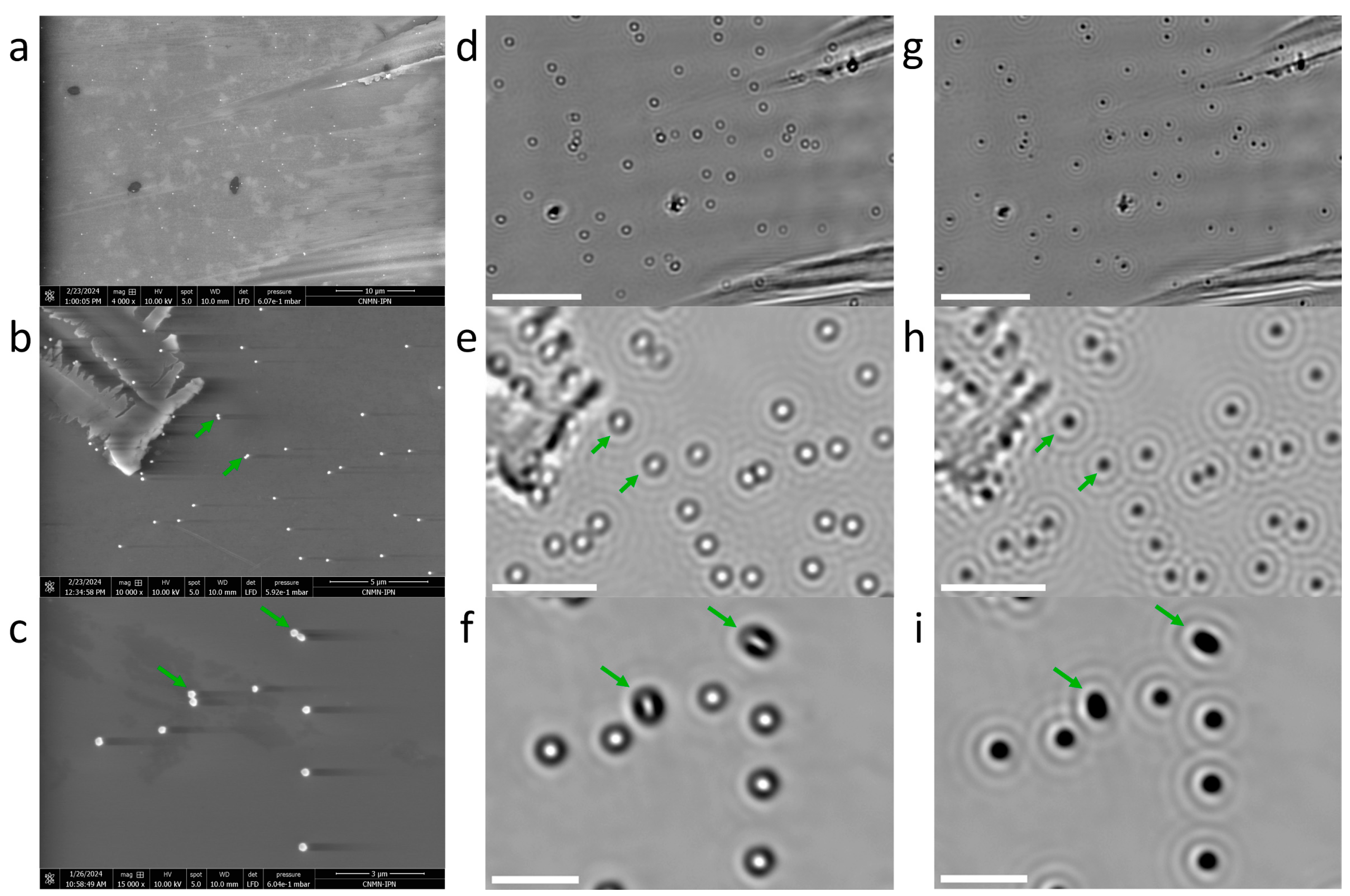 Photonics 12 00314 g006
