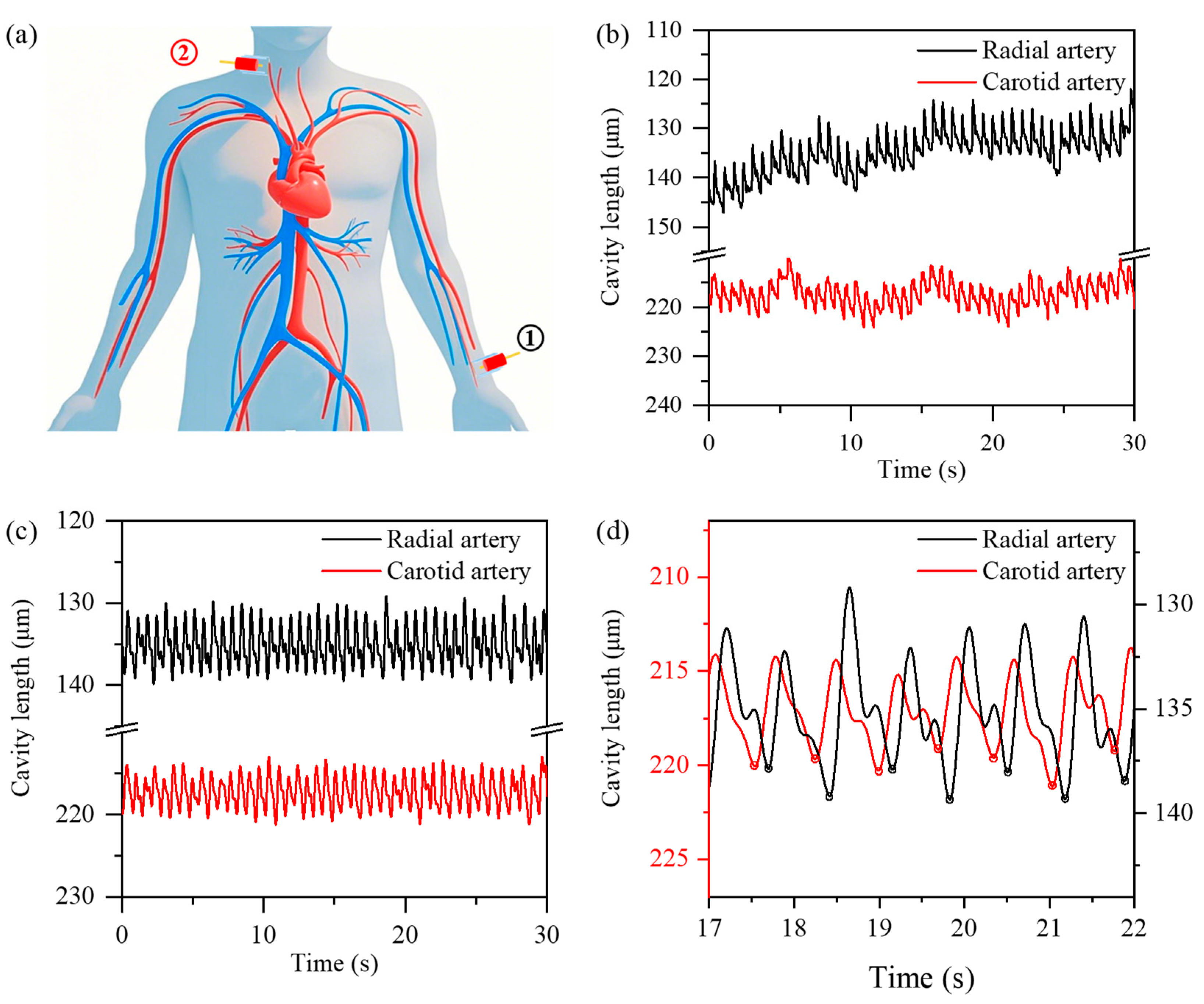 Photonics 12 00316 g008