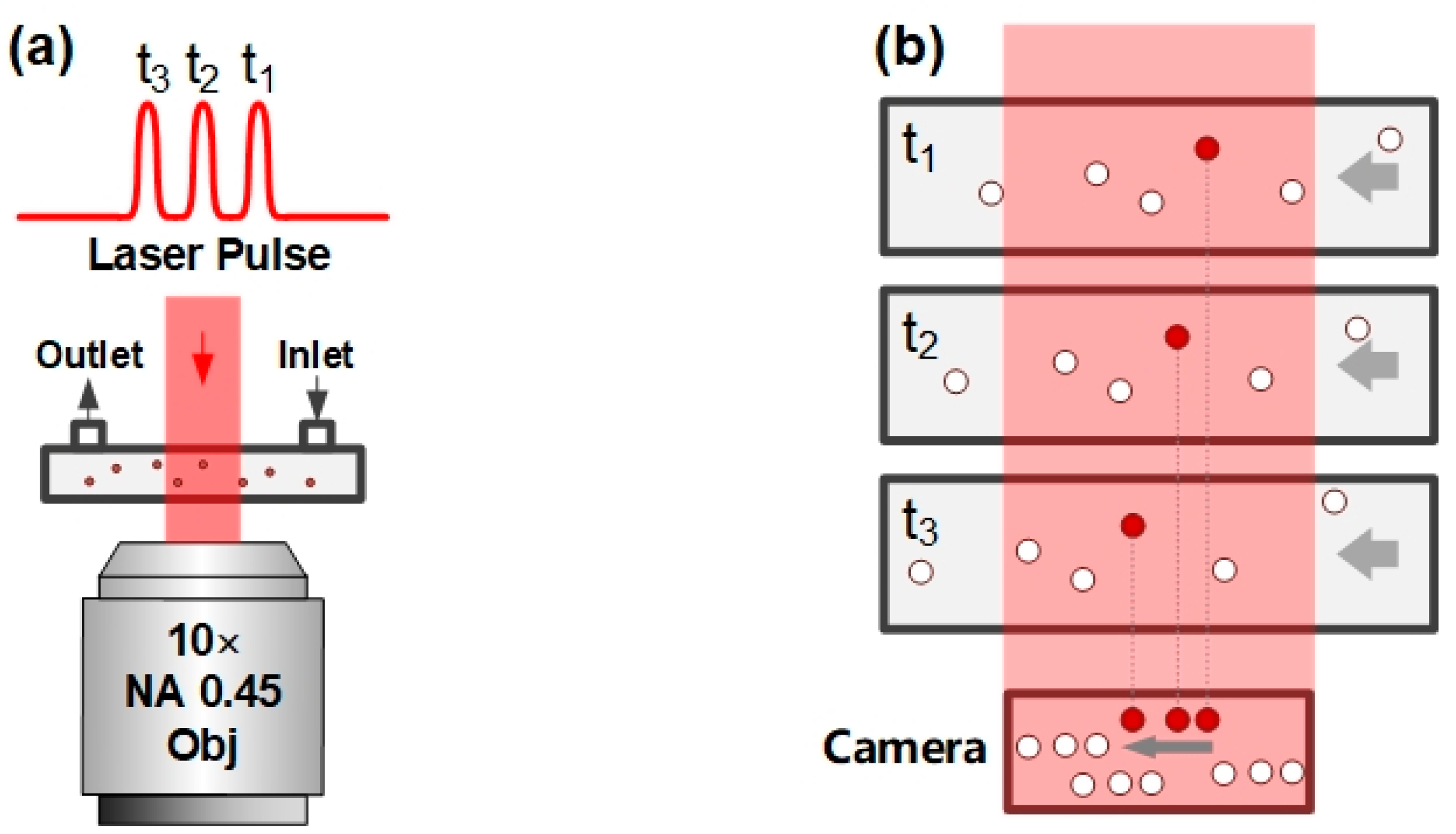 Photonics 12 00411 g001