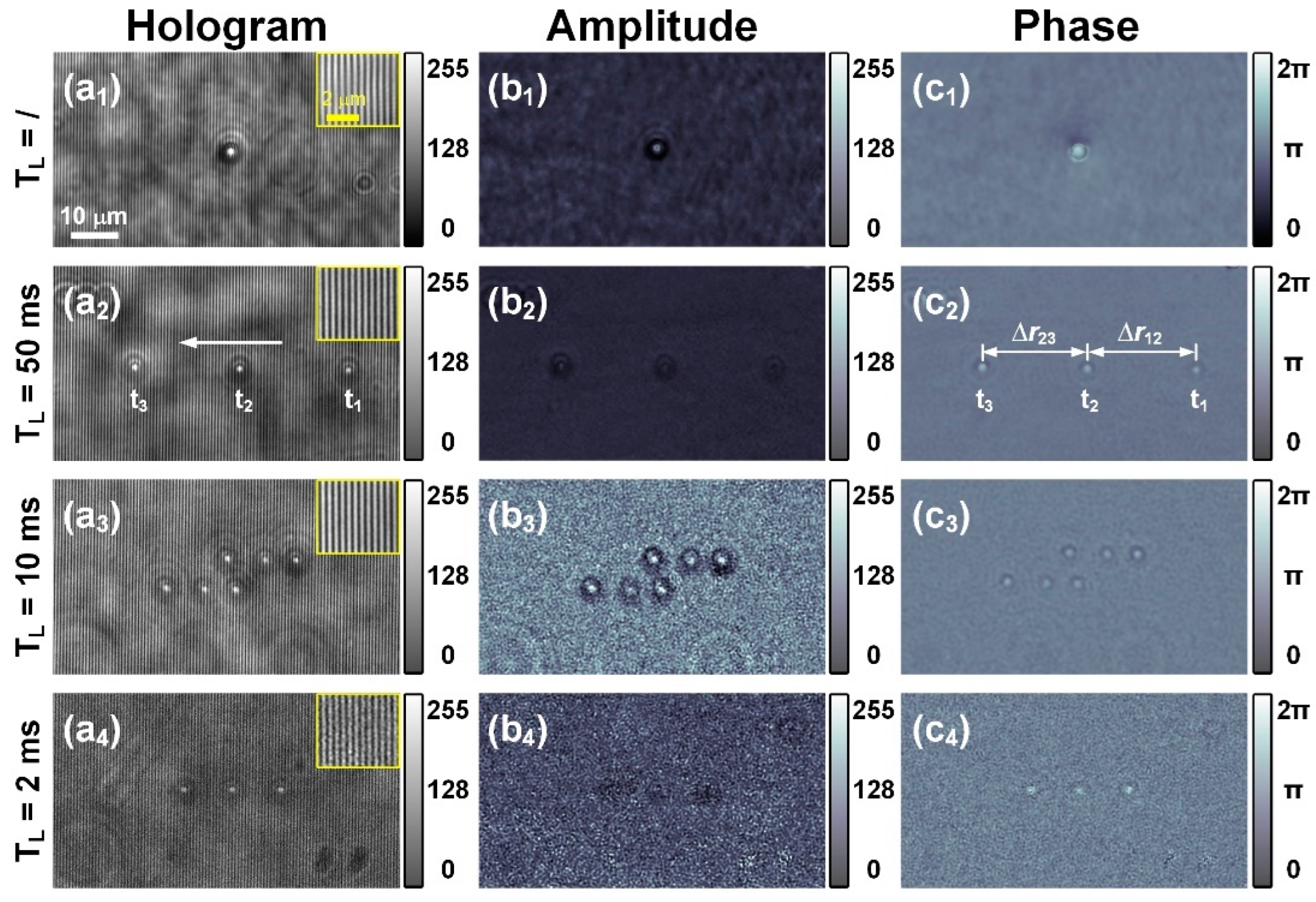 Photonics 12 00411 g003