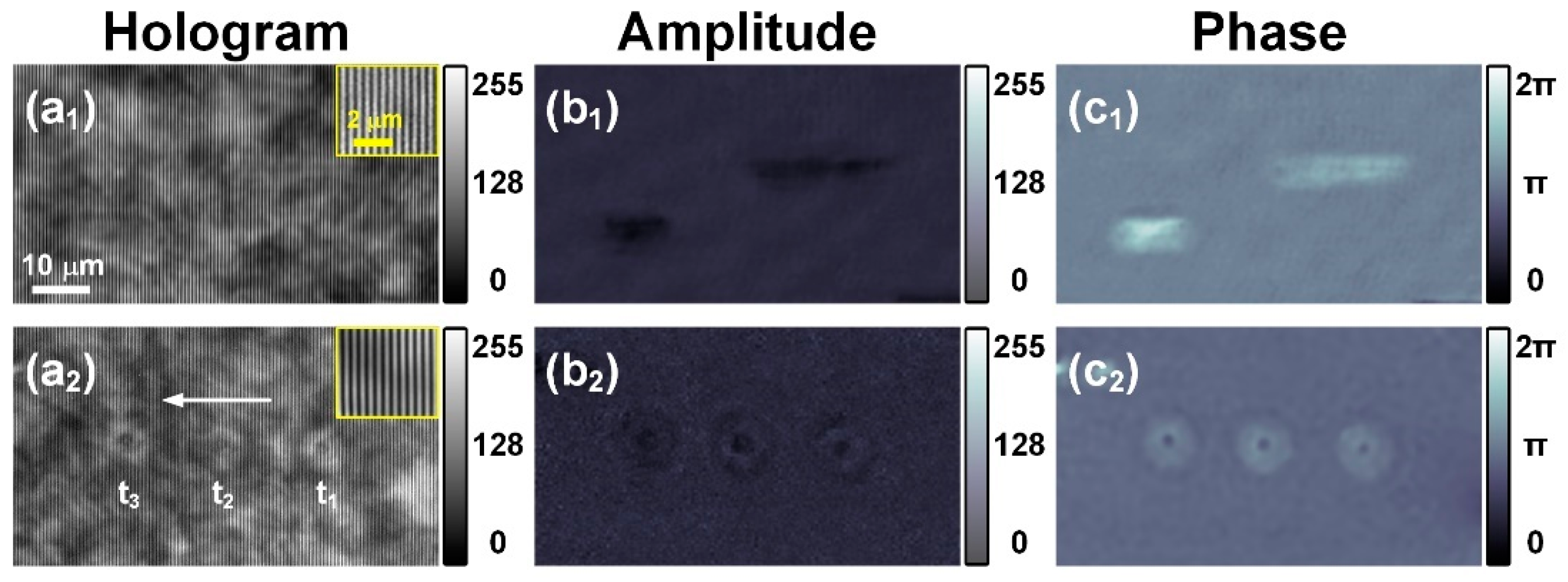 Photonics 12 00411 g005