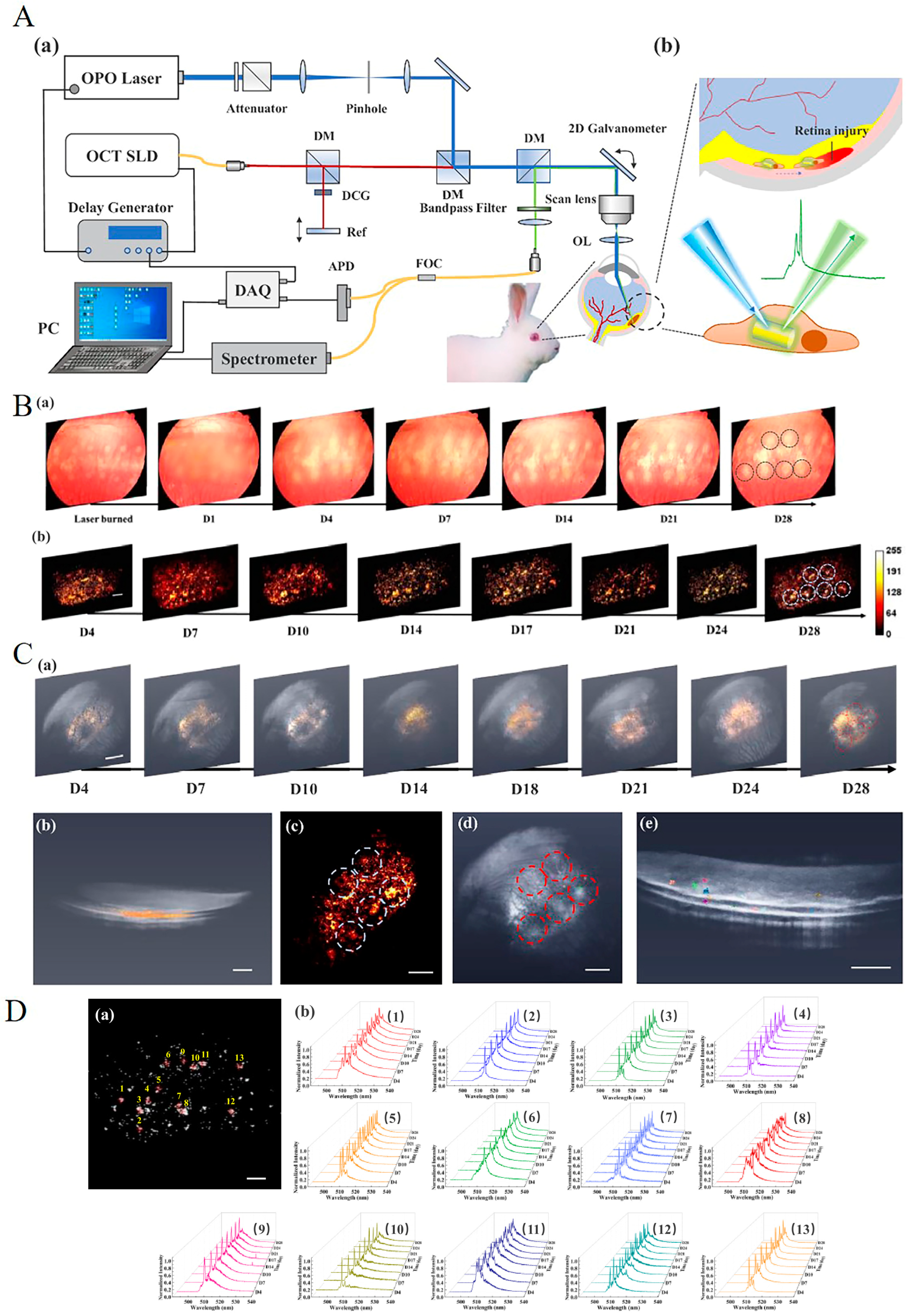 Photonics 12 00413 g001 Photonics 12 00413 g001