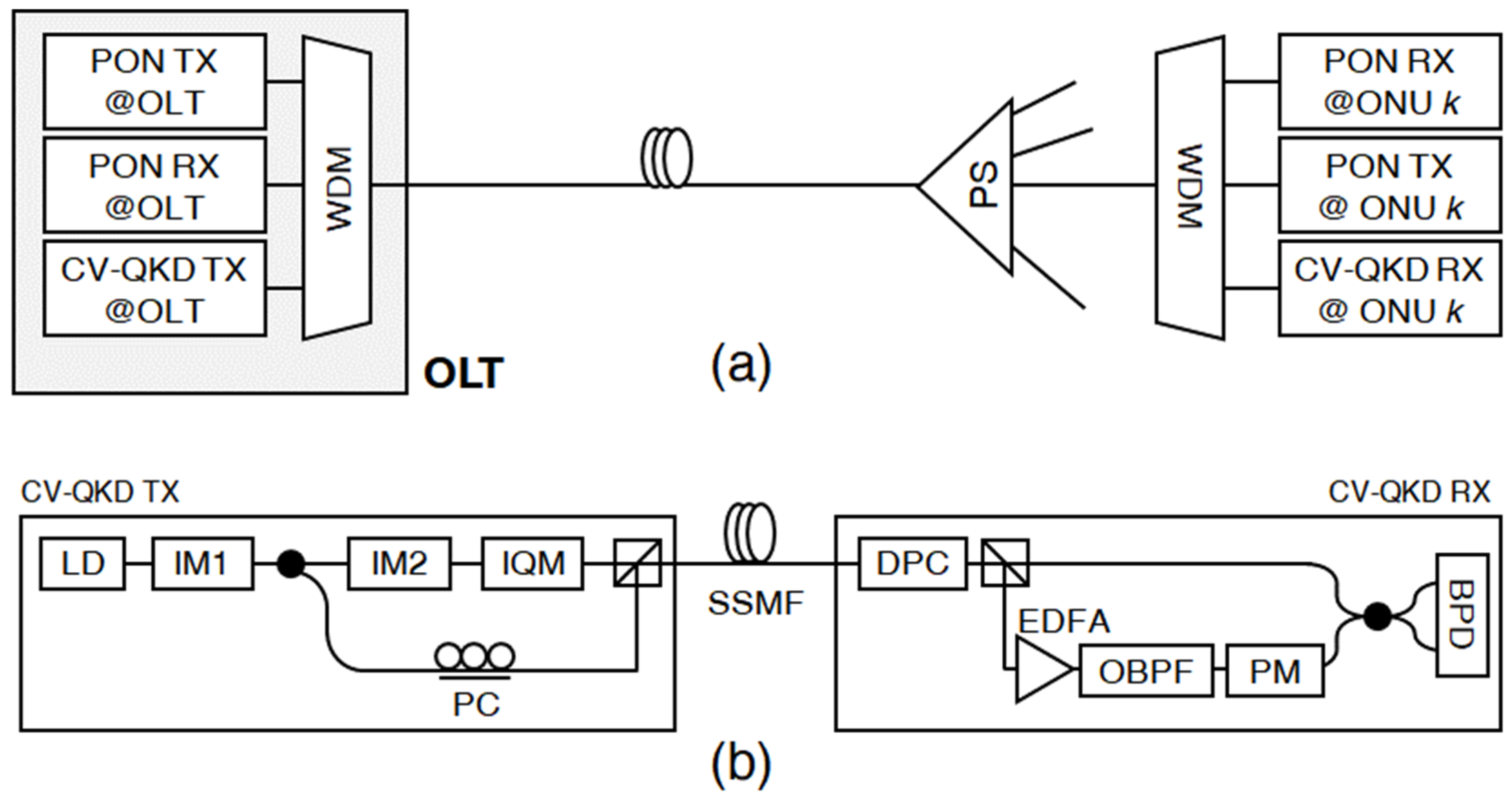 Photonics 12 00418 g005