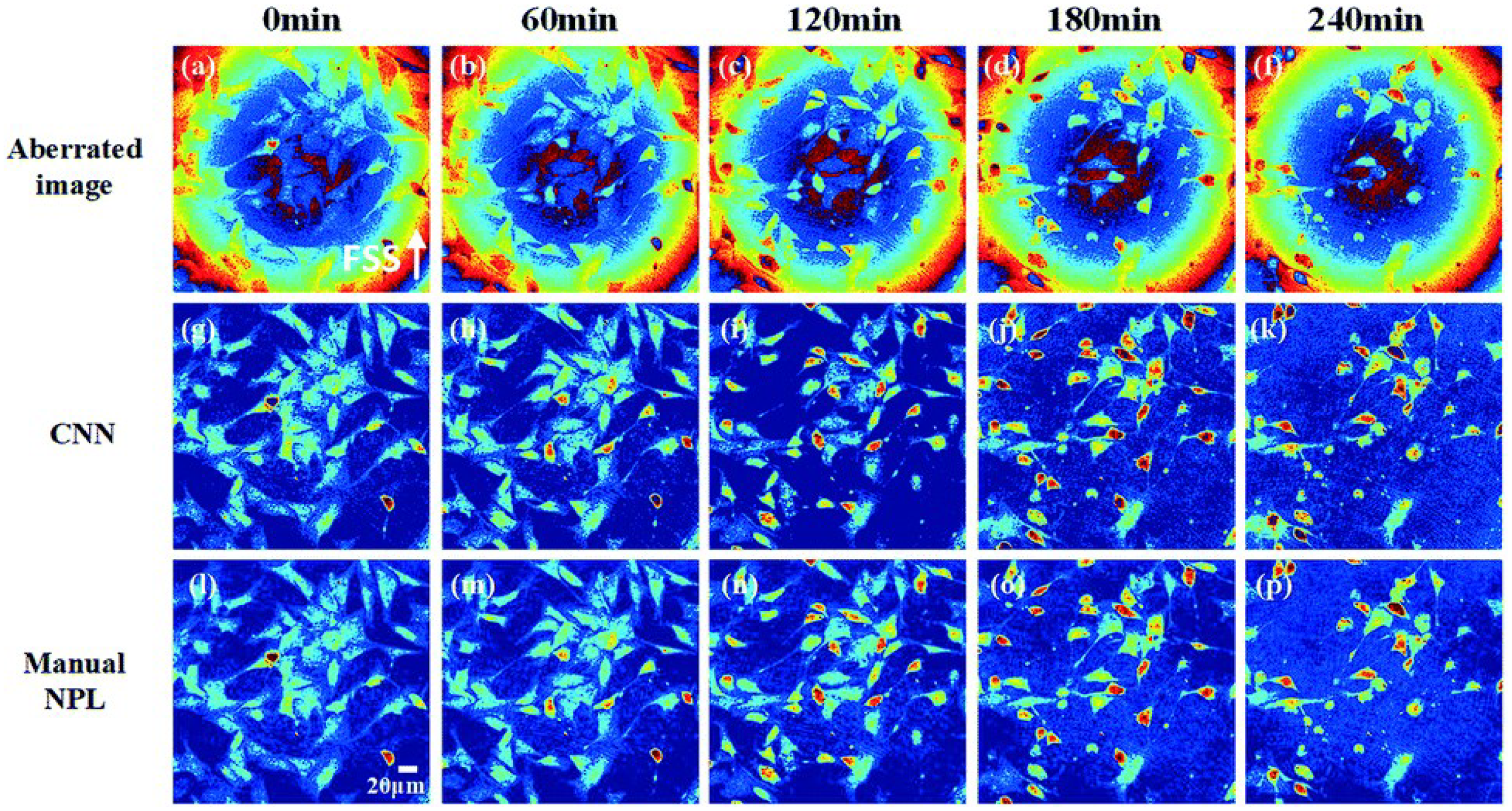 Photonics 12 00810 g014 Photonics 12 00810 g014