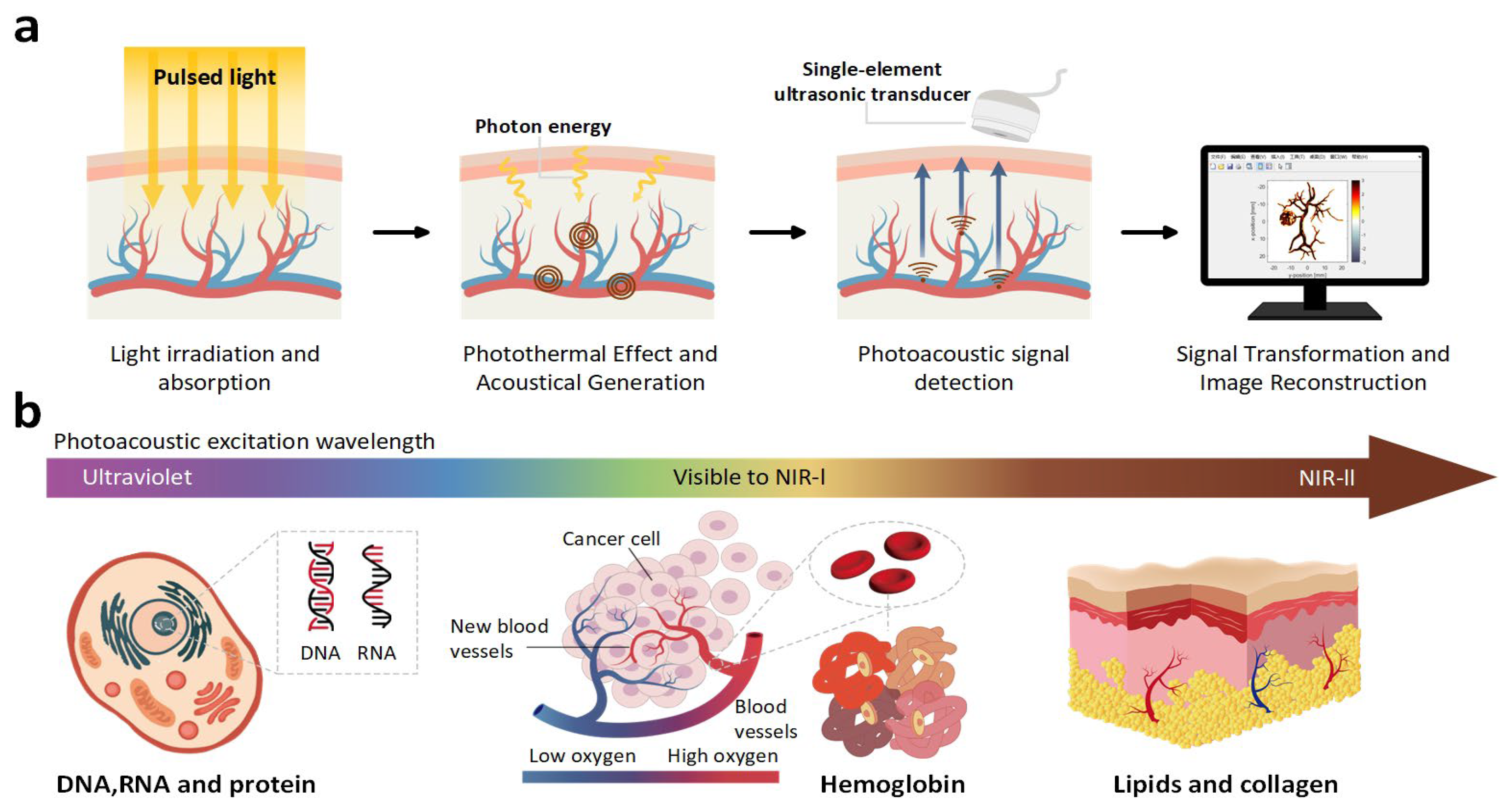 Photonics 12 01053 g001 Photonics 12 01053 g001
