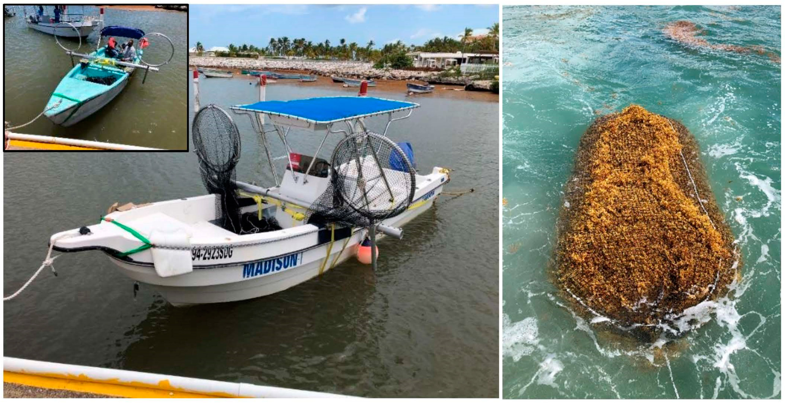 Phycology 01 00004 g002