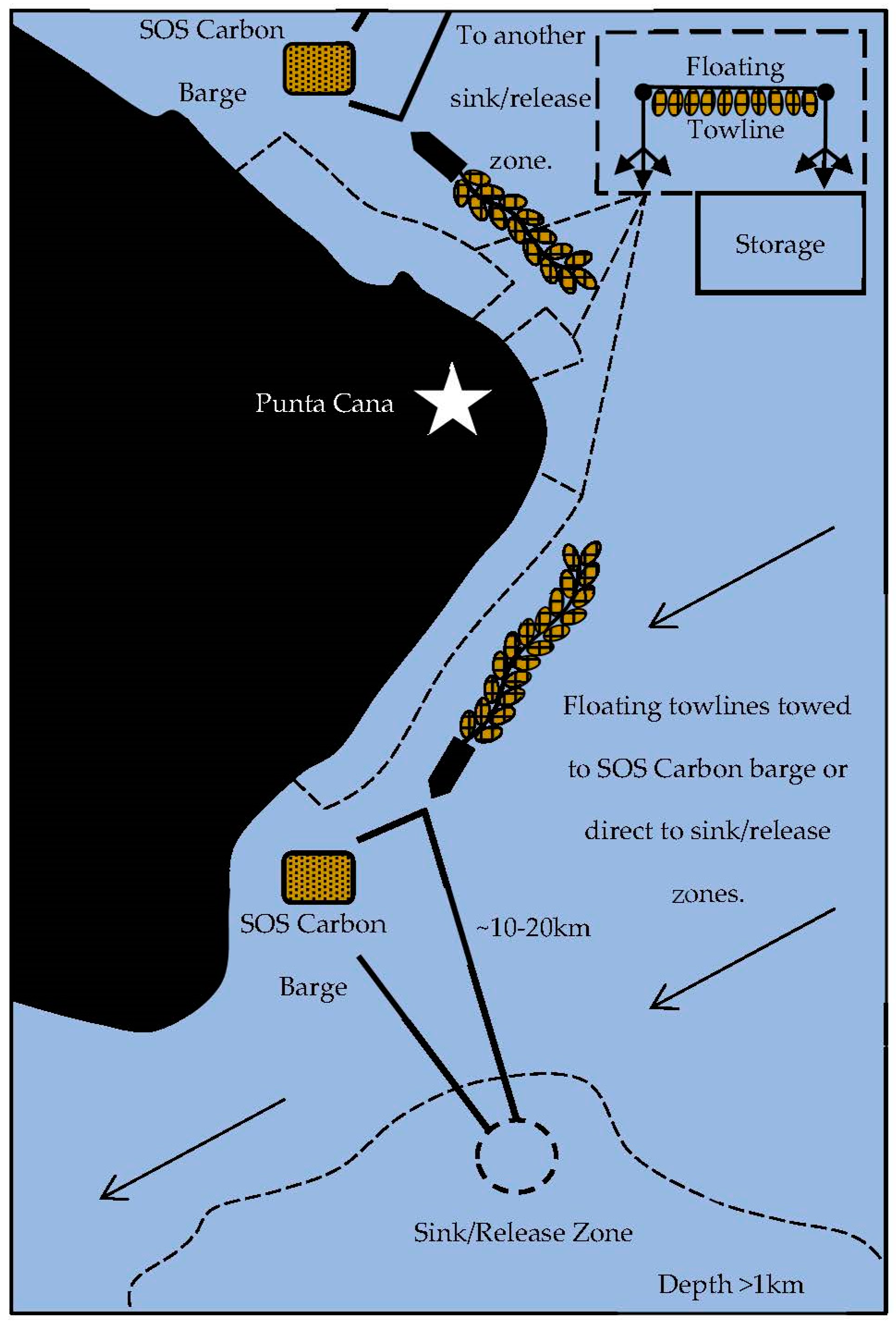 Phycology 01 00004 g004