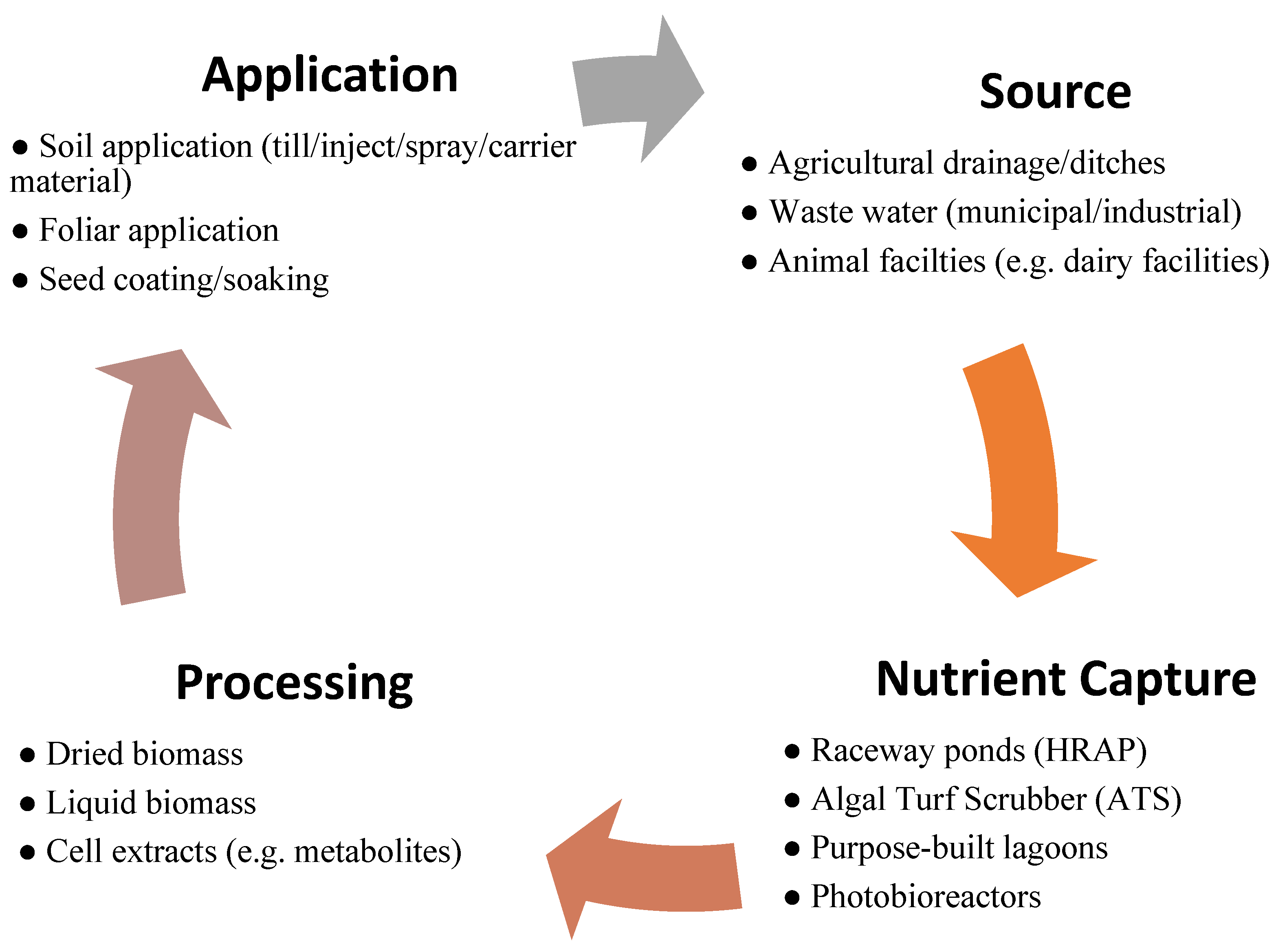 Pot Scrubbers For Bio Media - 6 Months Conclusion 