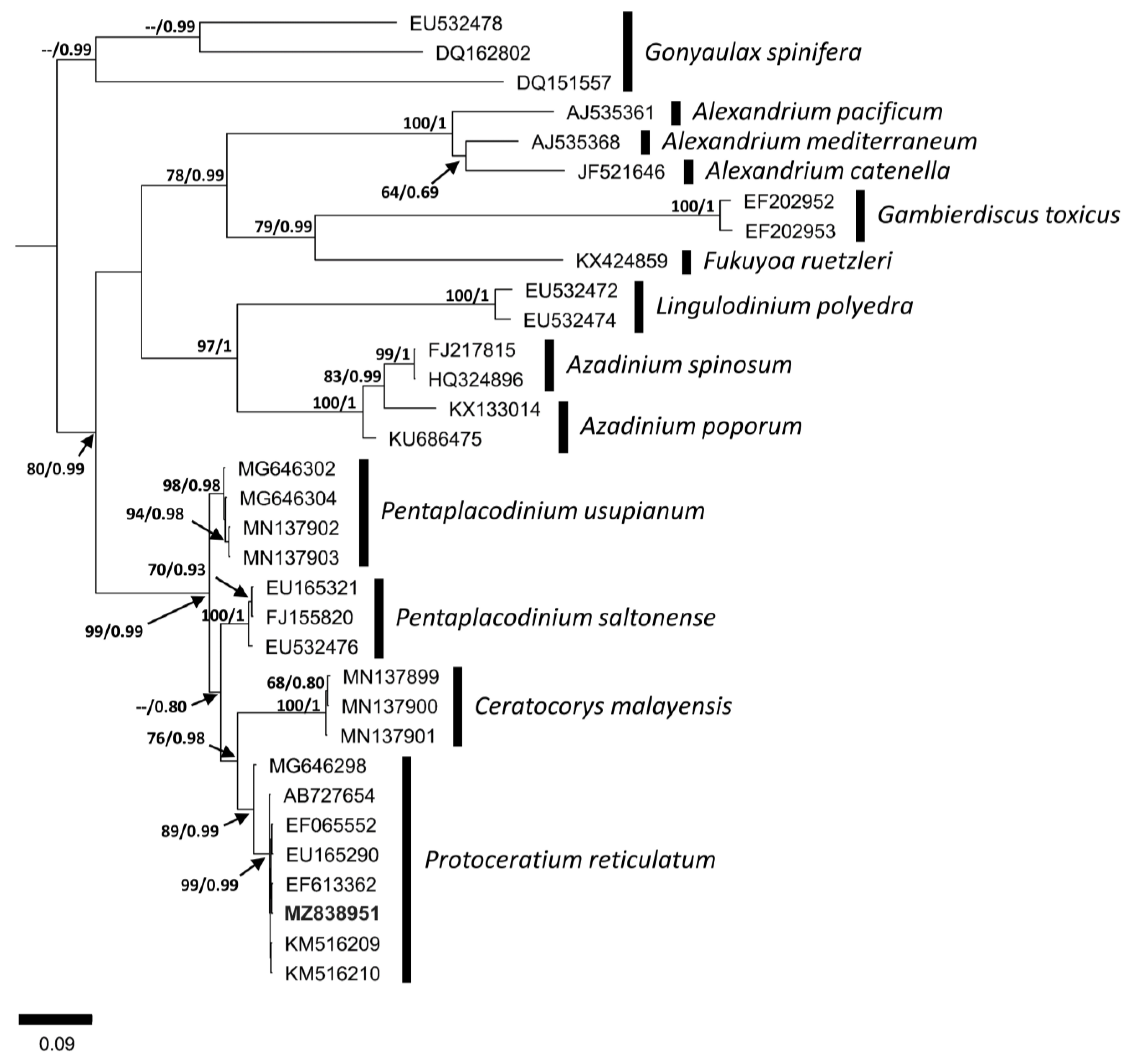 Phycology 03 00006 g006 Phycology 03 00006 g006