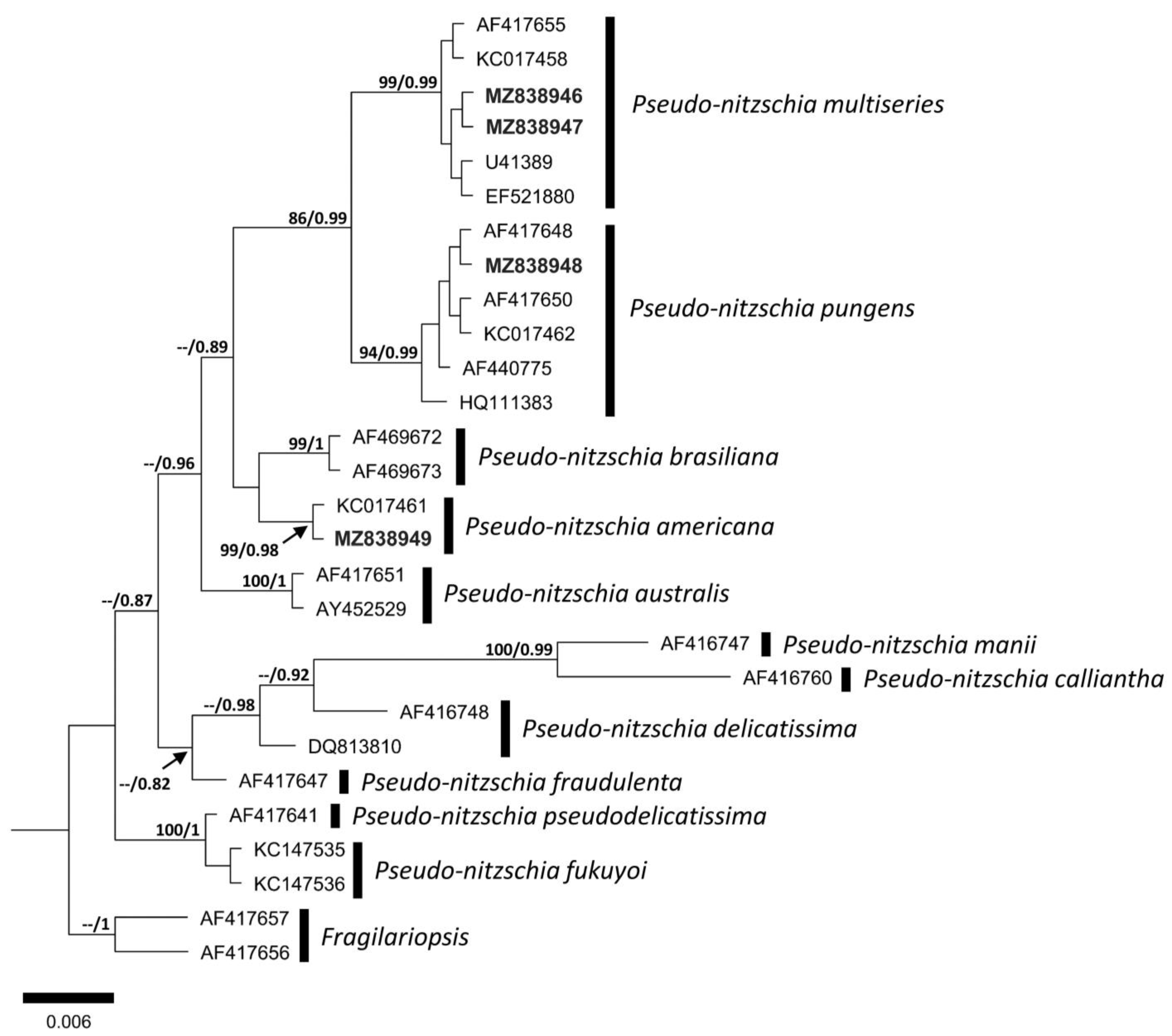 Phycology 03 00006 g007 Phycology 03 00006 g007