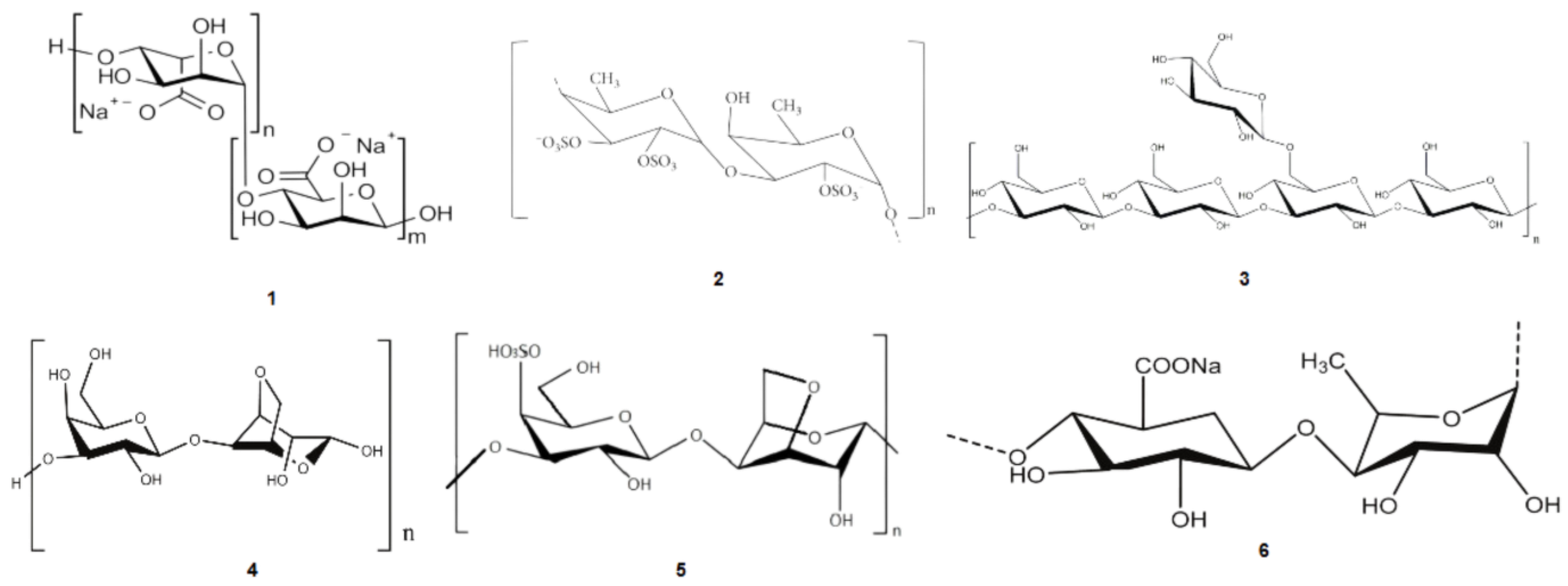 Phycology 03 00014 g001