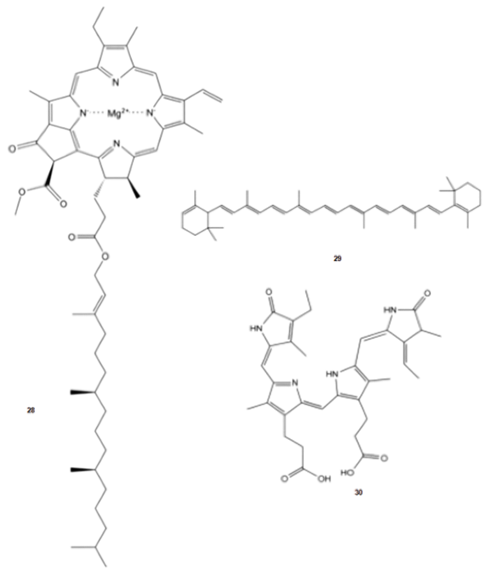 Phycology 03 00014 g005