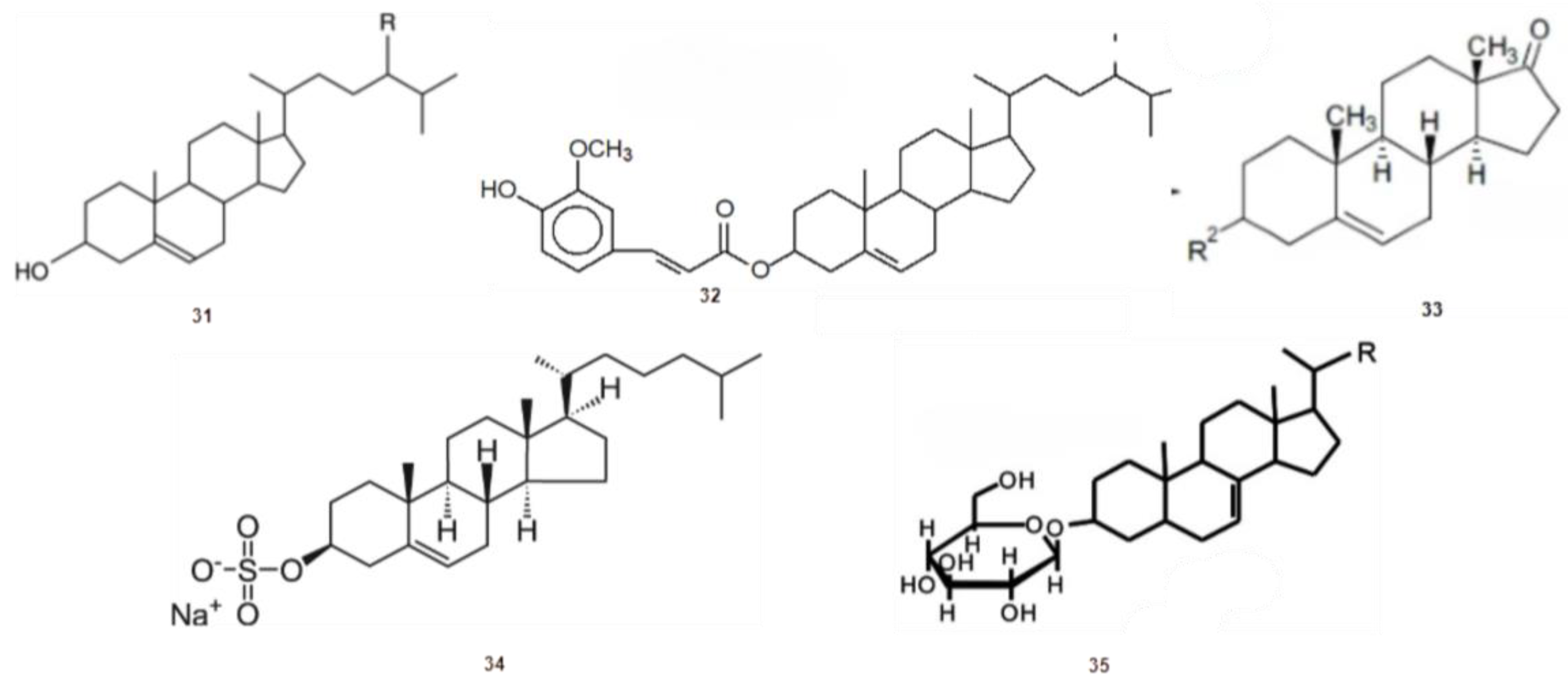 Phycology 03 00014 g006