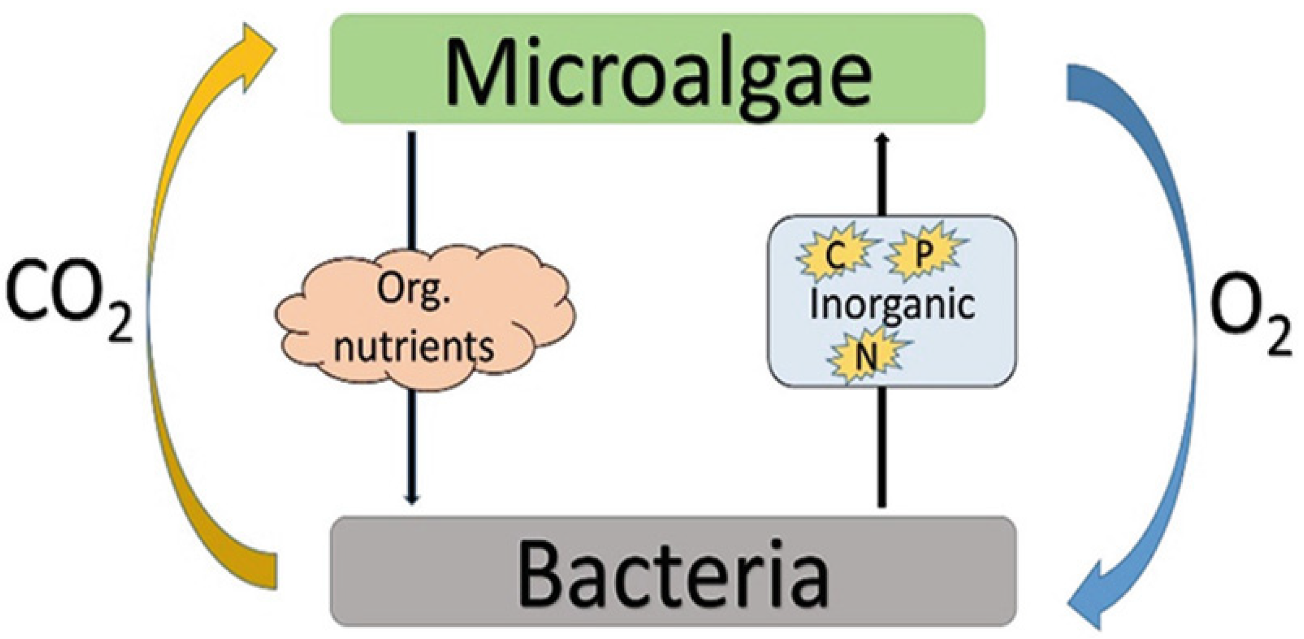 Phycology 03 00031 g001