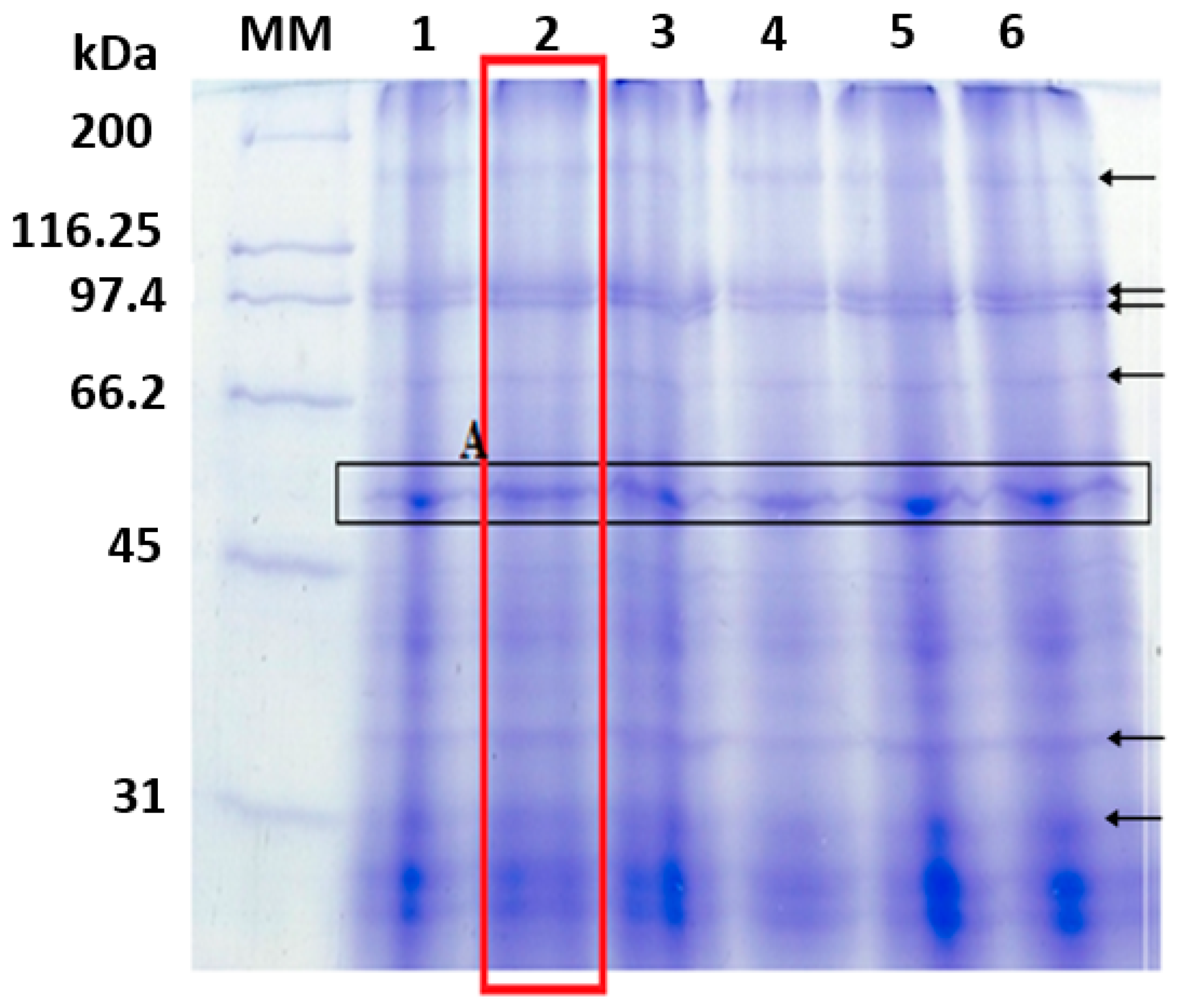 Phycology 04 00005 g001