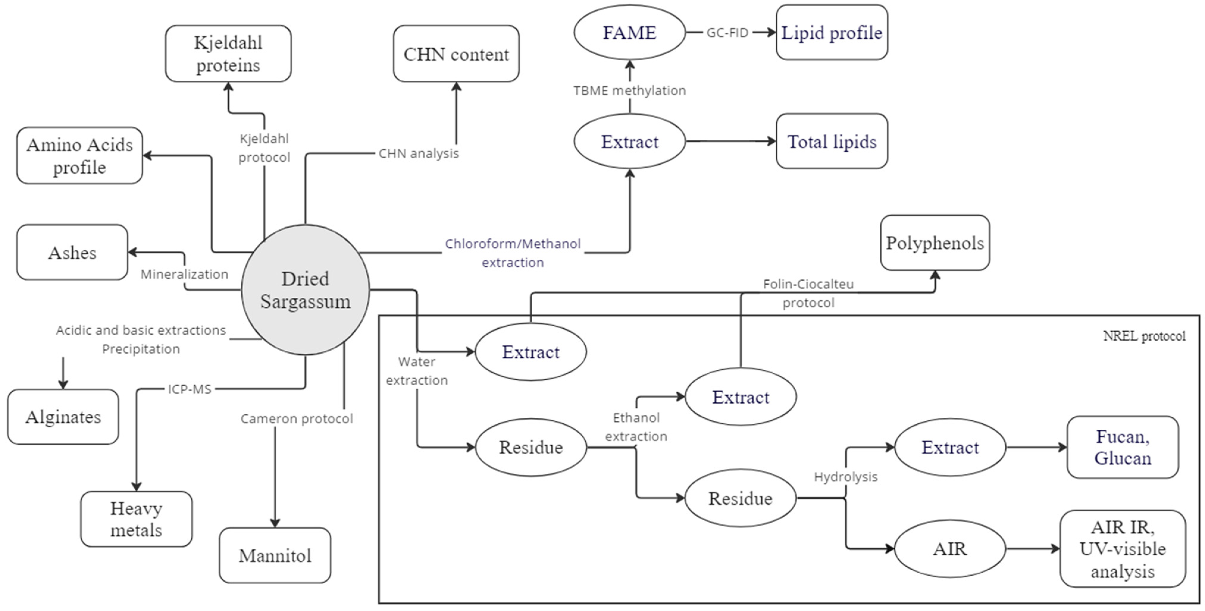 Phycology 04 00011 g002