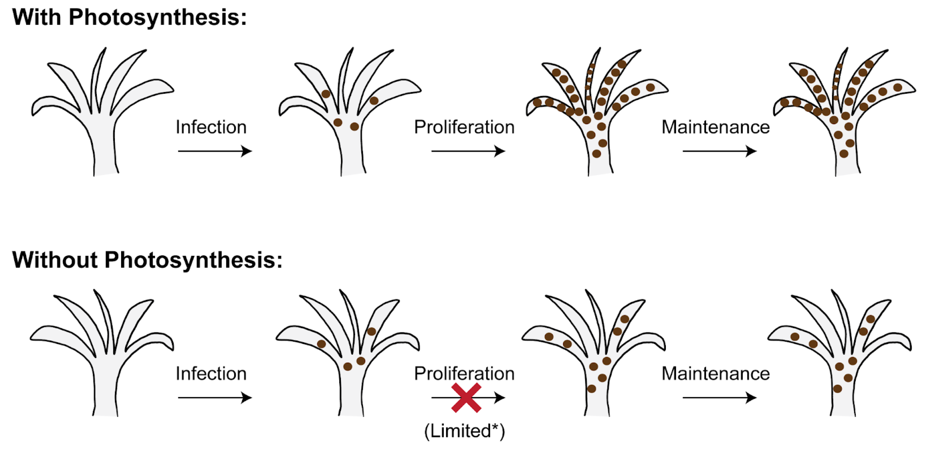 Phycology 05 00014 g002