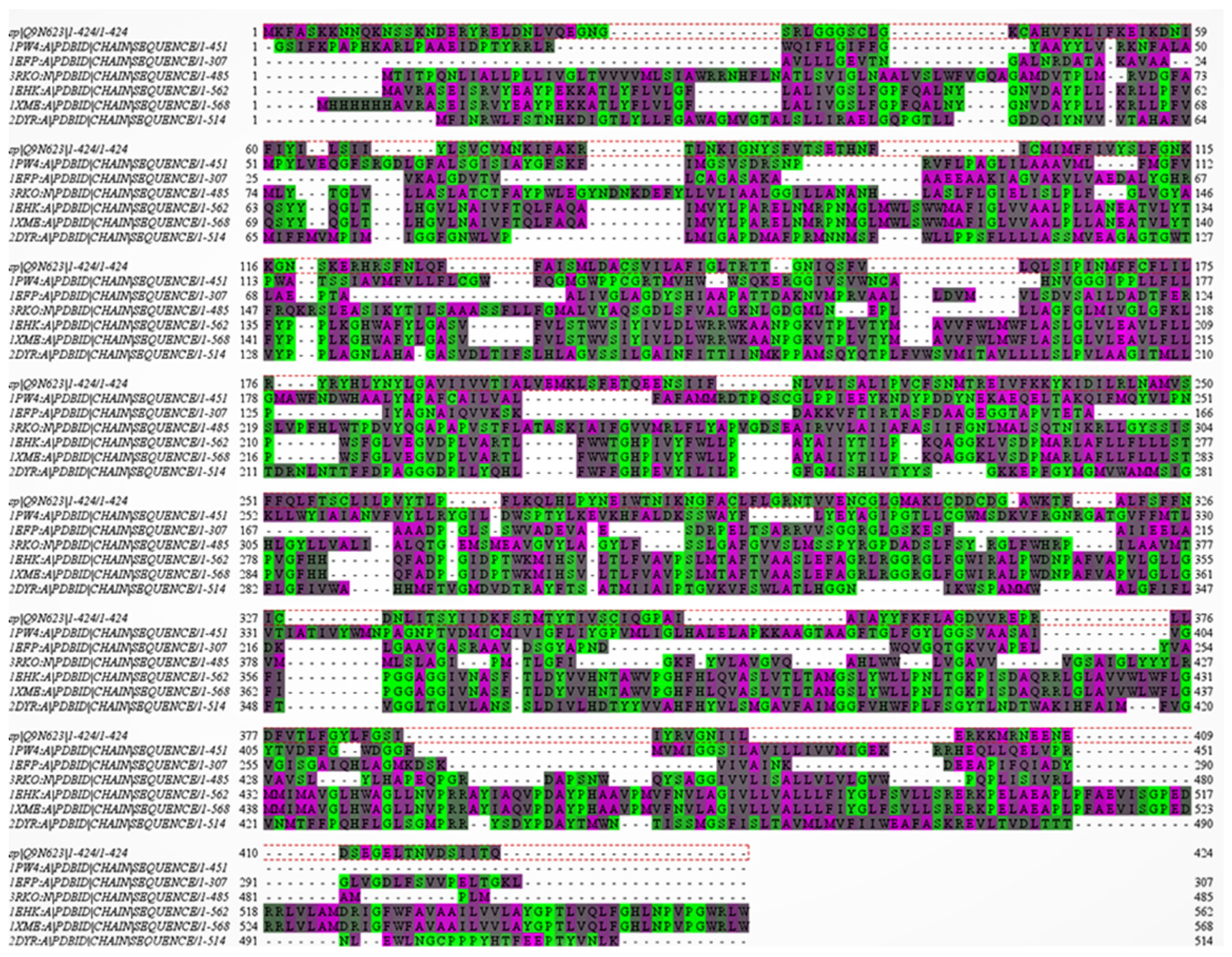 Physchem 01 00017 g002