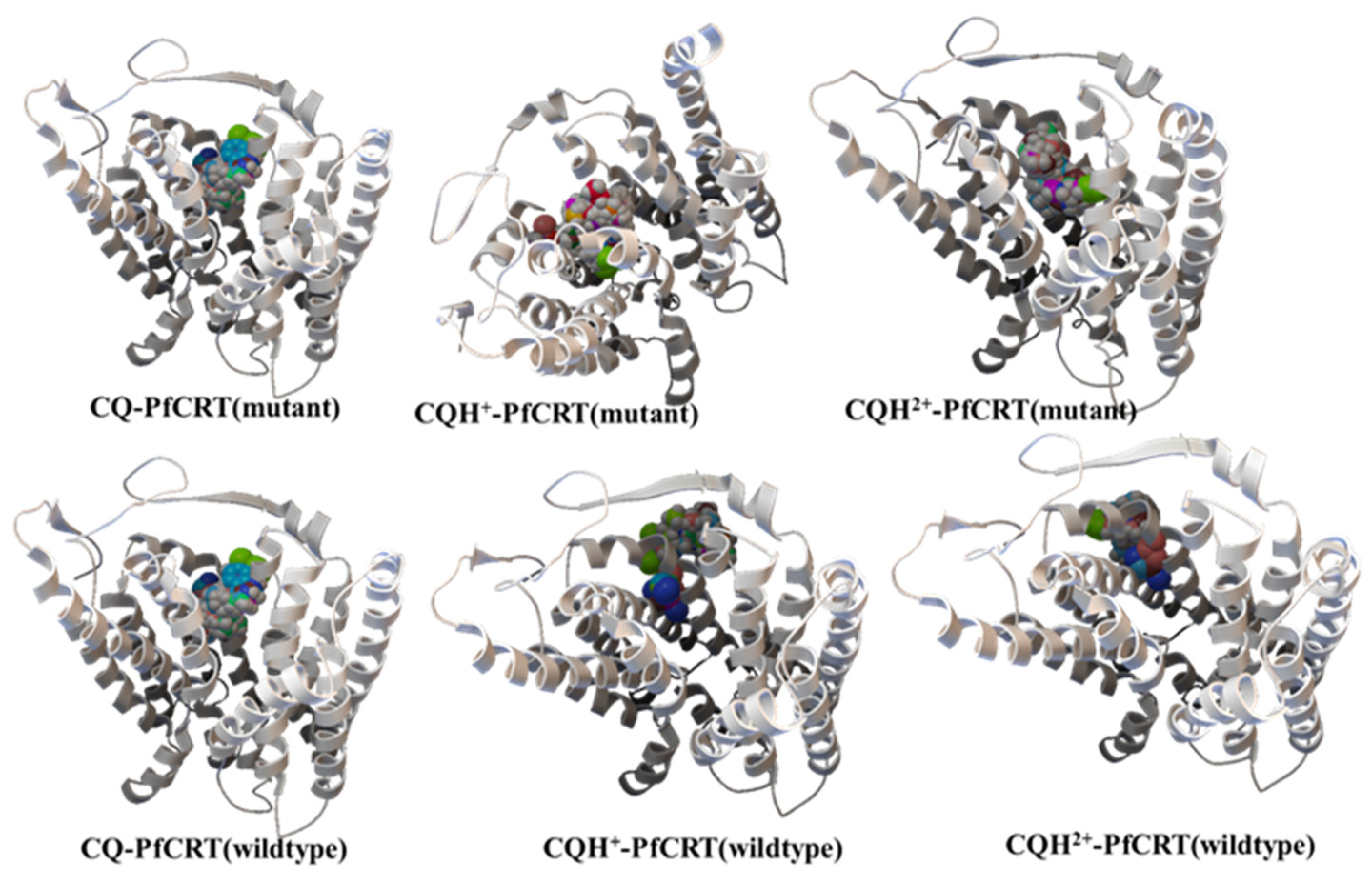 Physchem 01 00017 g004