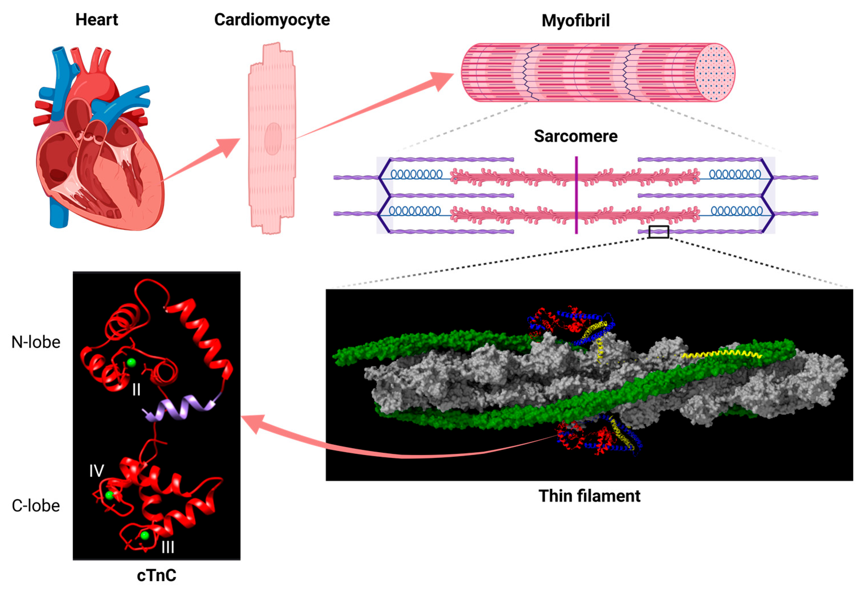 Physchem 05 00016 g001 Physchem 05 00016 g001