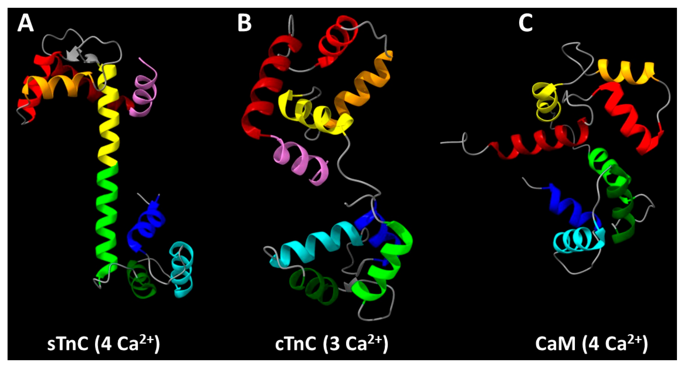 Physchem 05 00016 g002 Physchem 05 00016 g002