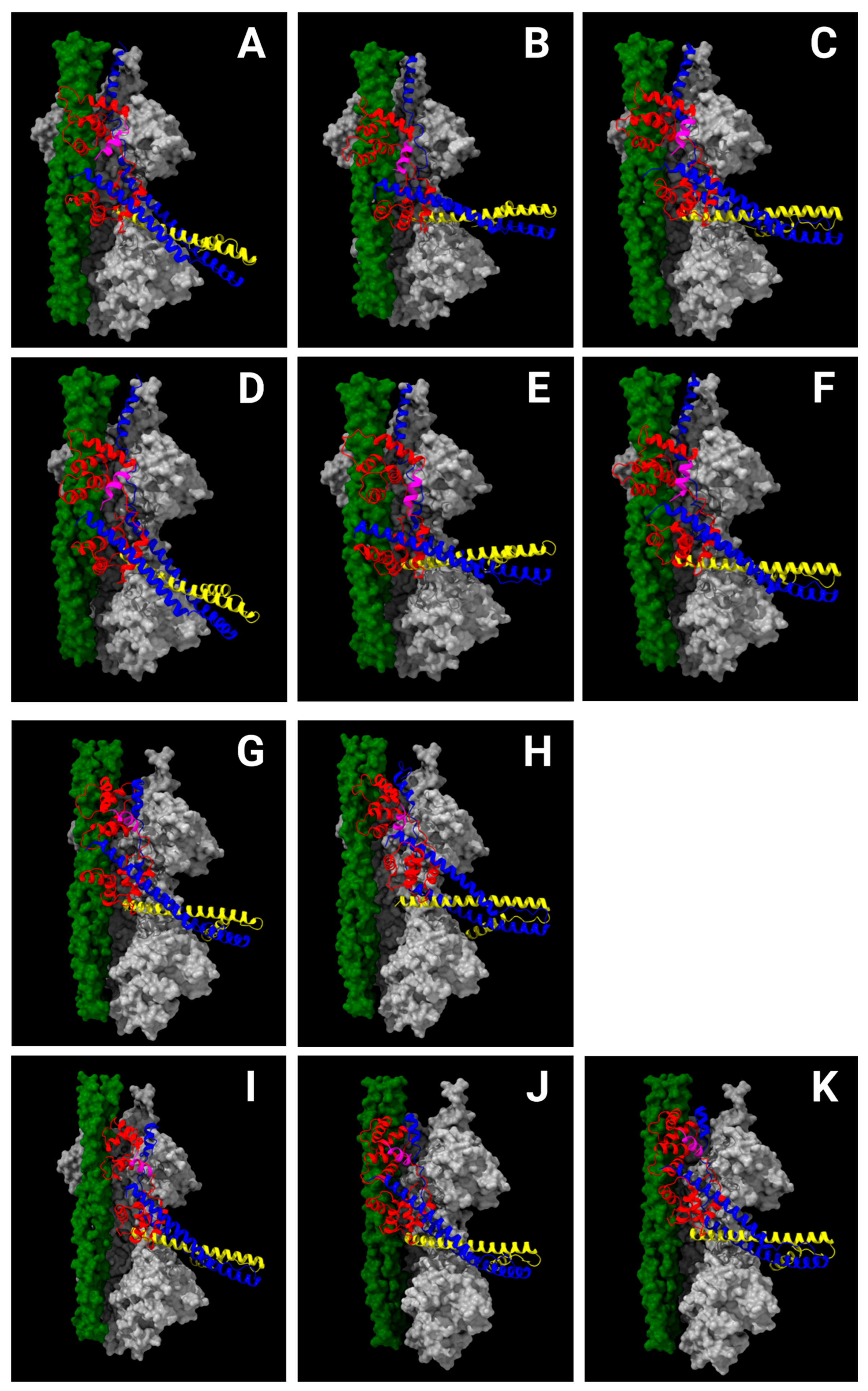 Physchem 05 00016 g004 Physchem 05 00016 g004