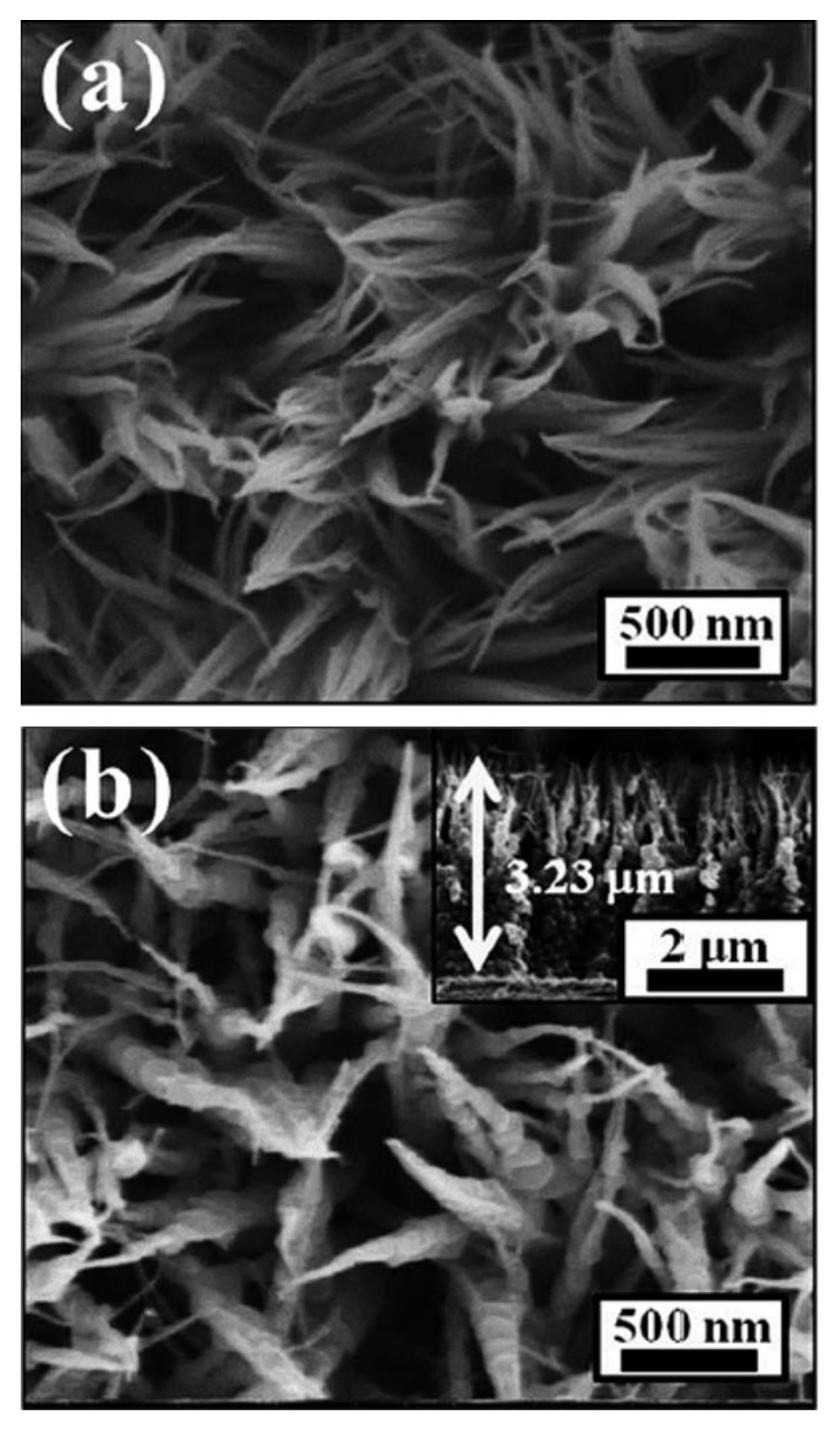 Physics 02 00027 g019