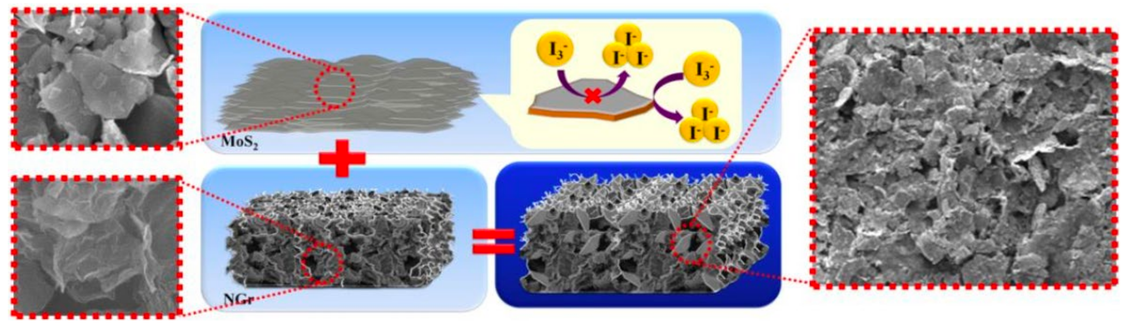 Physics 02 00027 g025