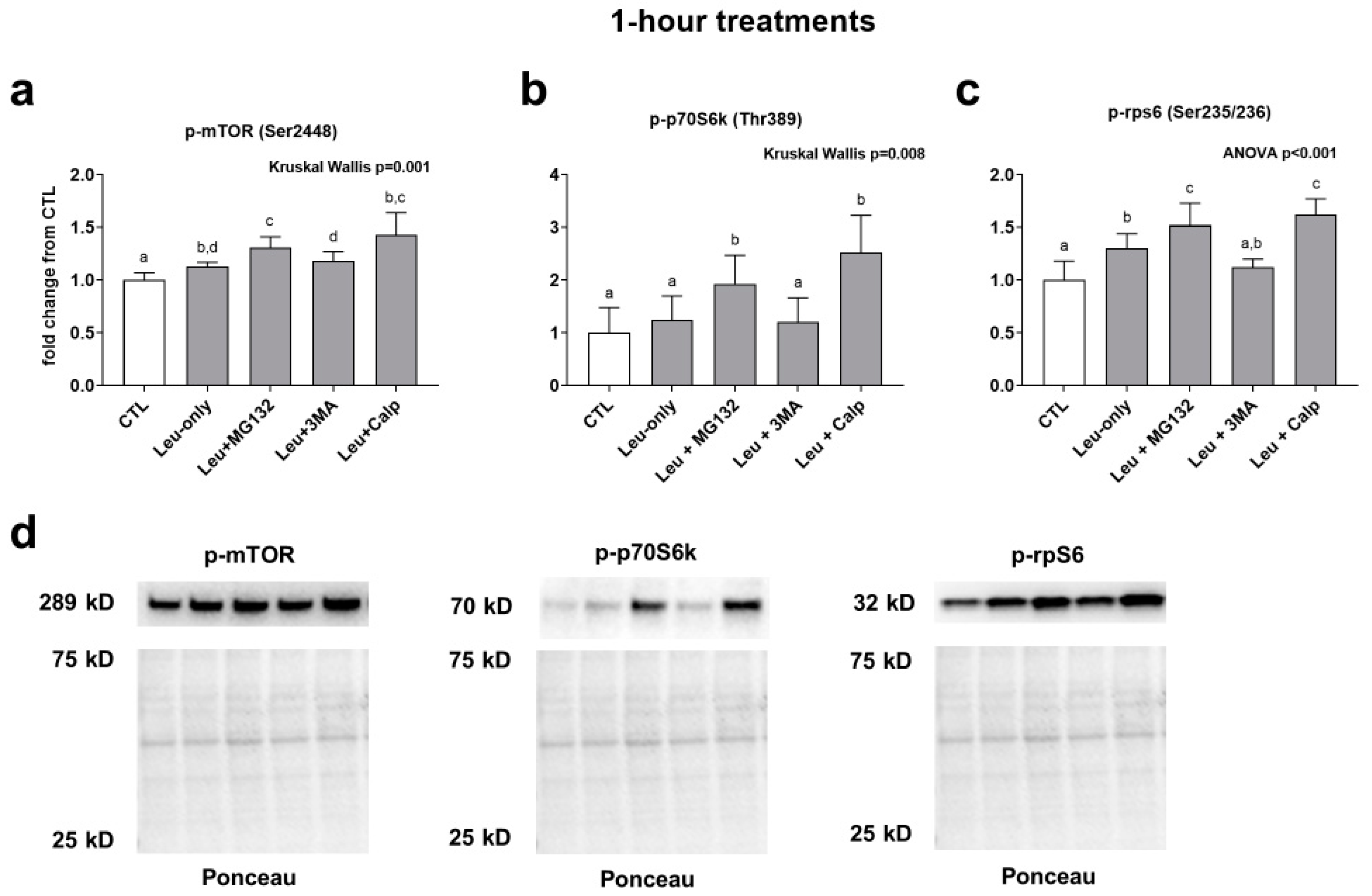 Physiologia 01 00005 g002