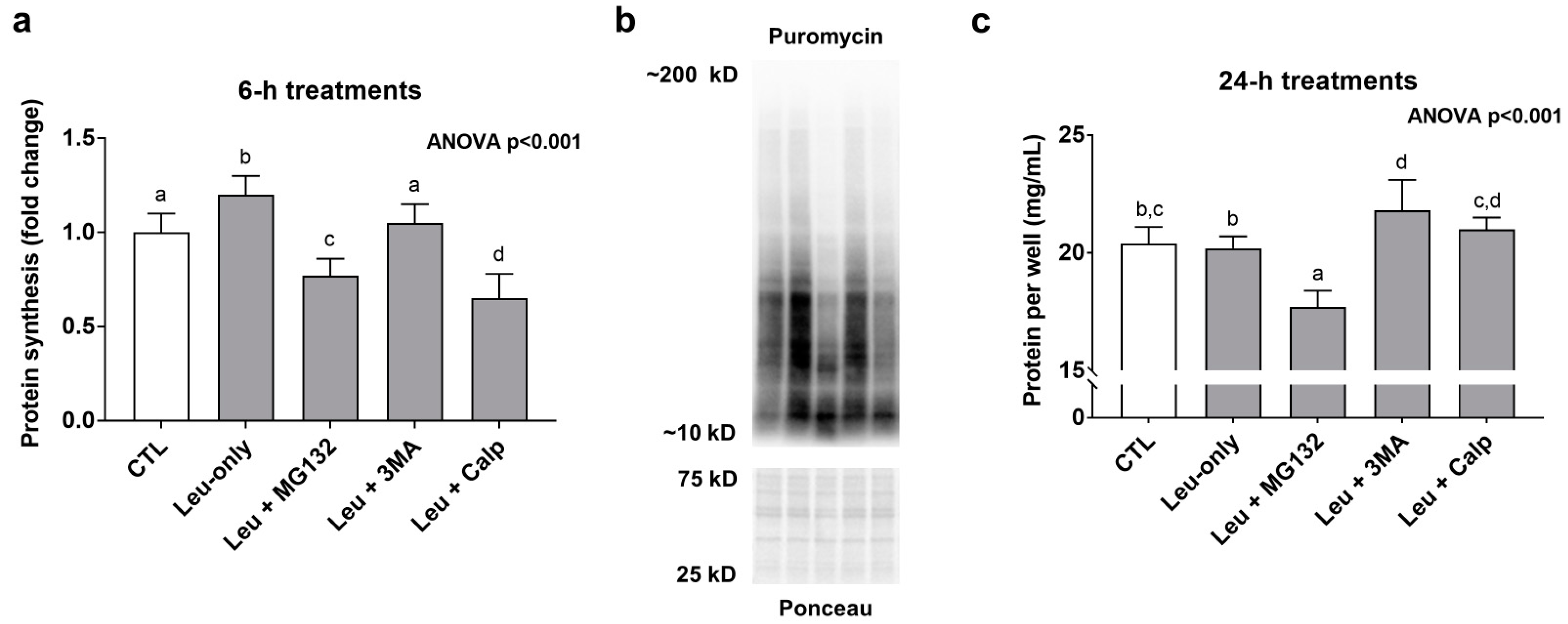 Physiologia 01 00005 g004