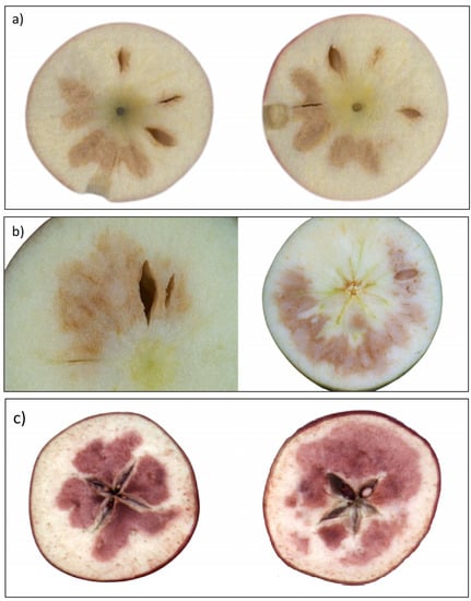 https://www.mdpi.com/physiologia/physiologia-03-00012/article_deploy/html/images/physiologia-03-00012-g002-550.jpg