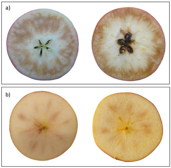 https://www.mdpi.com/physiologia/physiologia-03-00012/article_deploy/html/images/physiologia-03-00012-g003-550.jpg