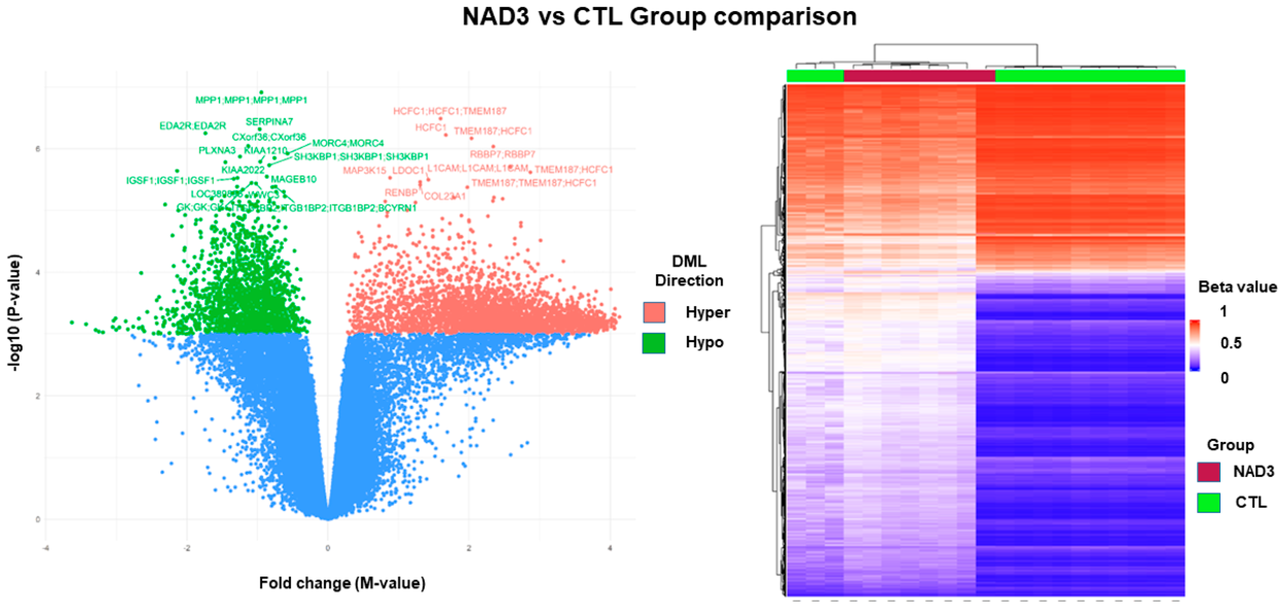 Physiologia 03 00016 g001