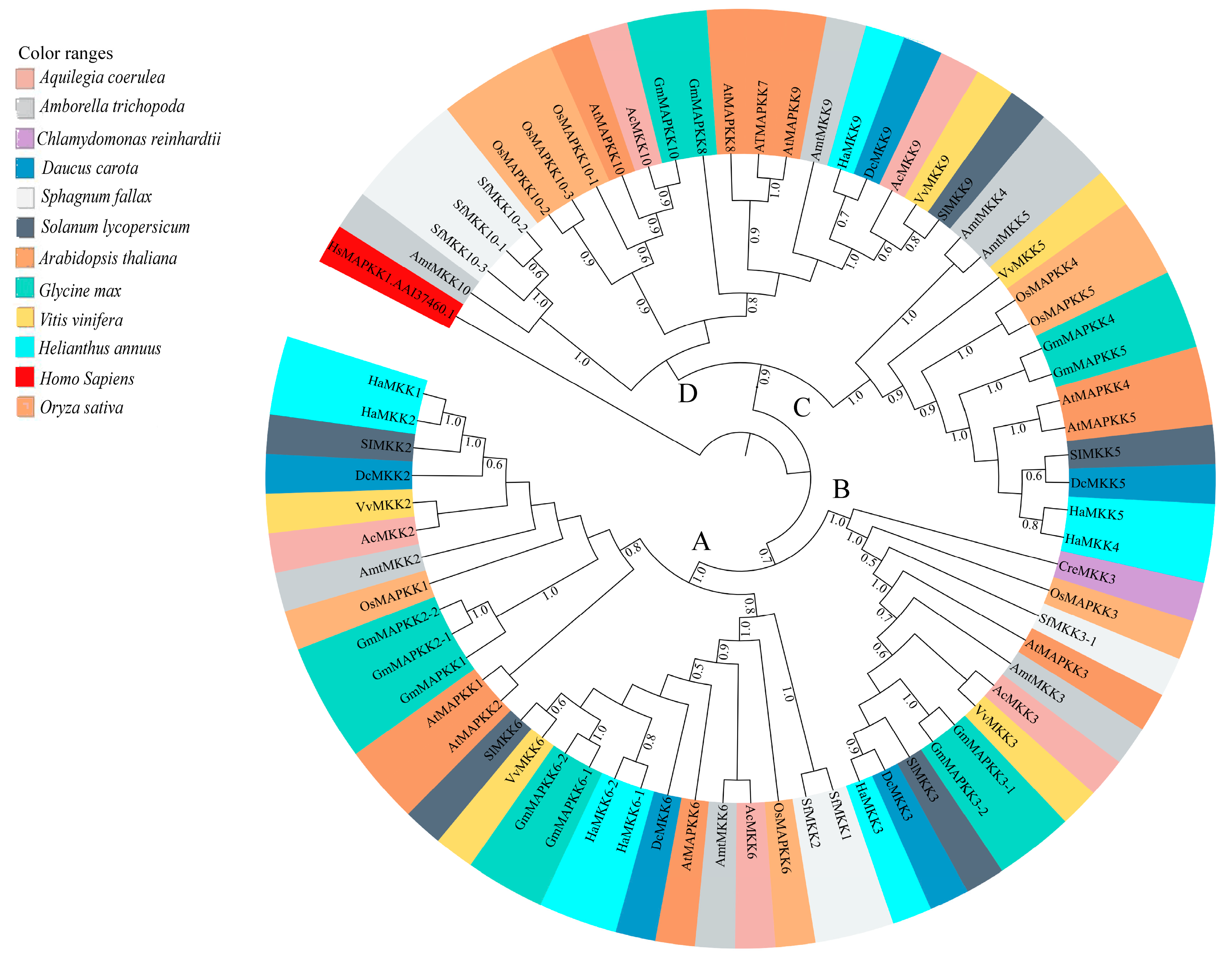 Plants 08 00028 g005