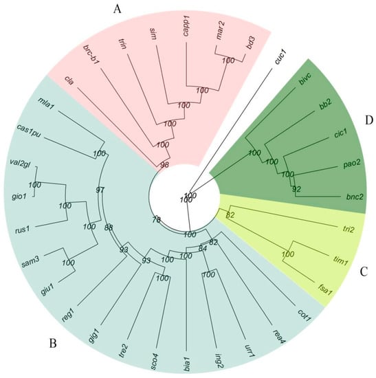Plants | Free Full-Text | High-Throughput Genotype, Morphology, and Quality  Traits Evaluation for the Assessment of Genetic Diversity of Wheat  Landraces from Sicily | HTML
