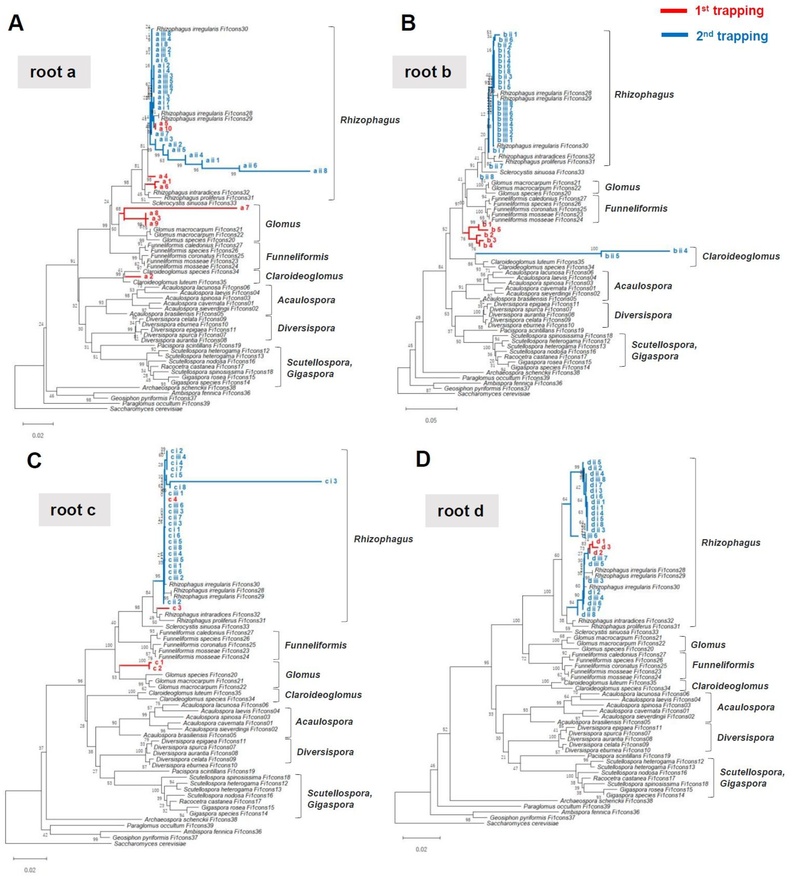 Plants 08 00142 g003 Plants 08 00142 g003