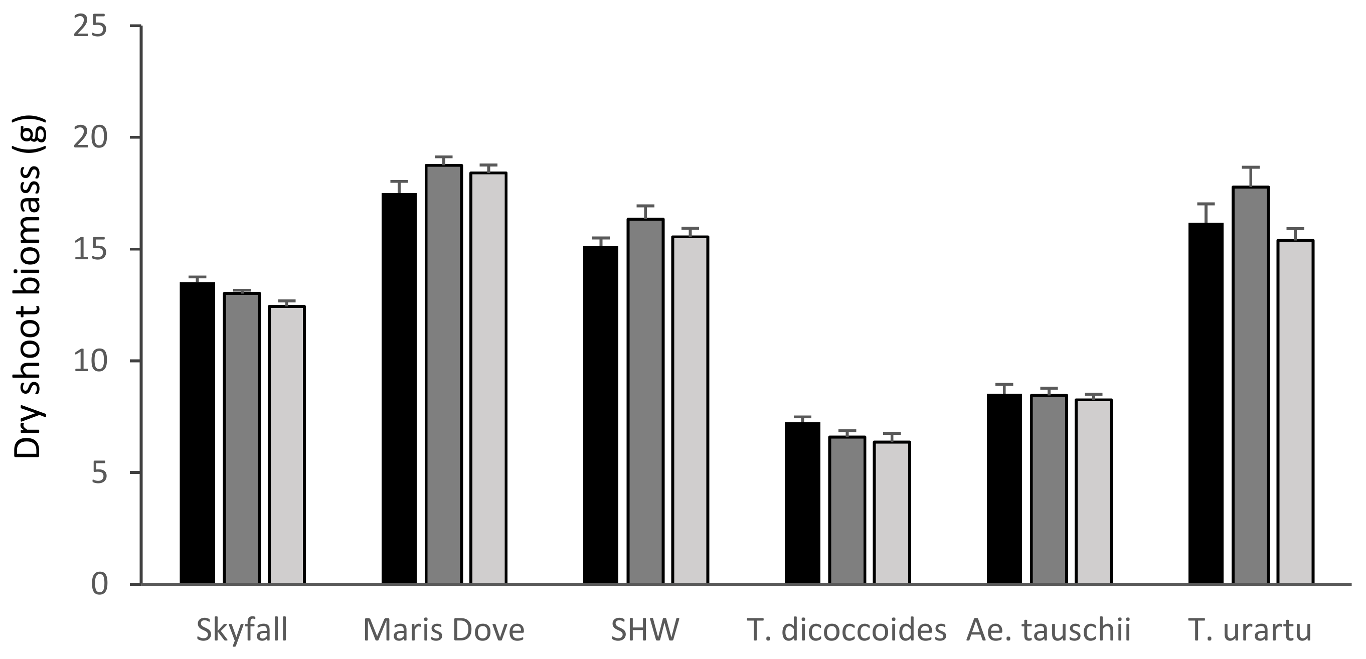 Plants Free Full Text Ozone Tolerance Found In Aegilops Tauschii And Primary Synthetic Hexaploid Wheat Html