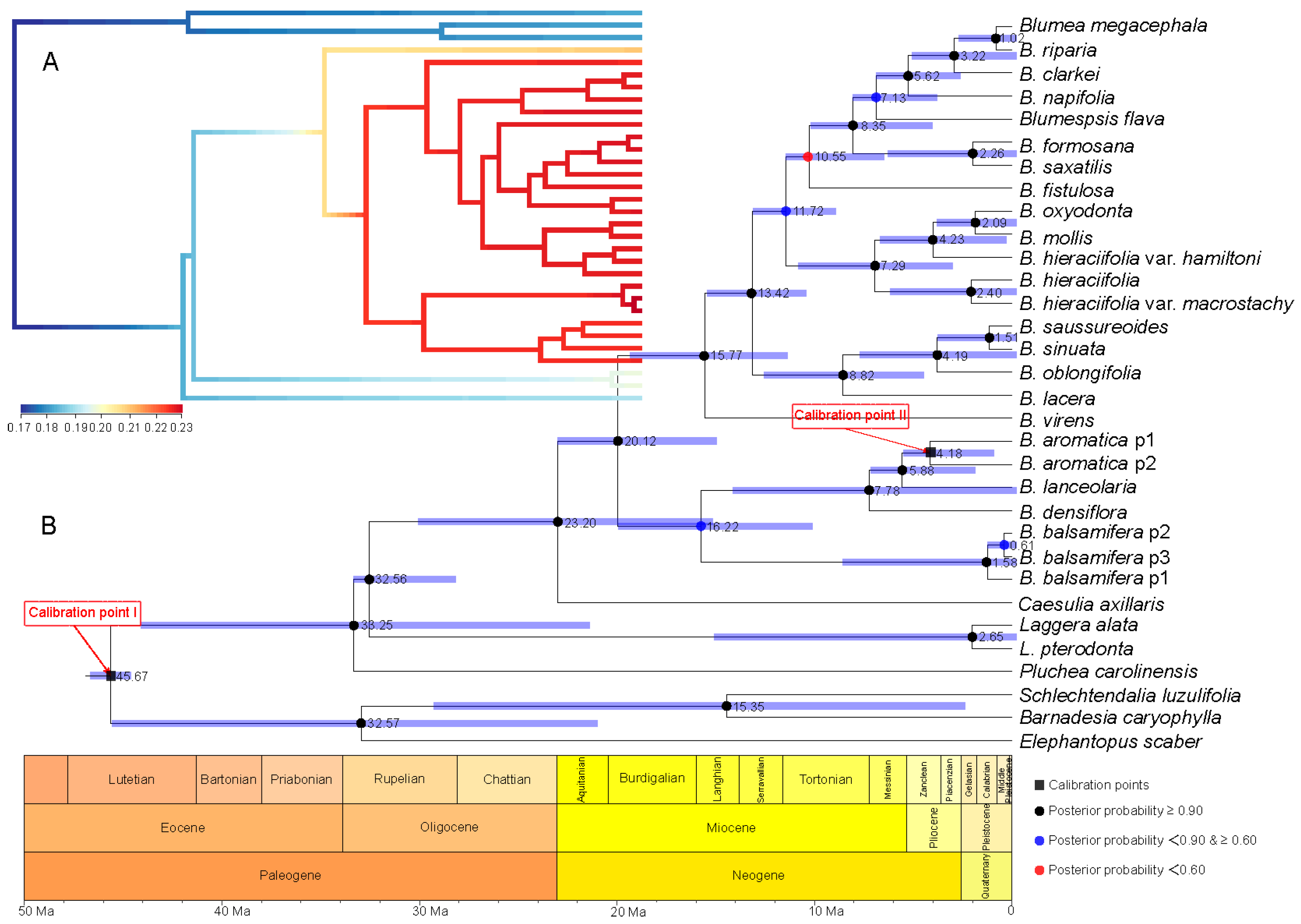 Plants 08 00210 g004
