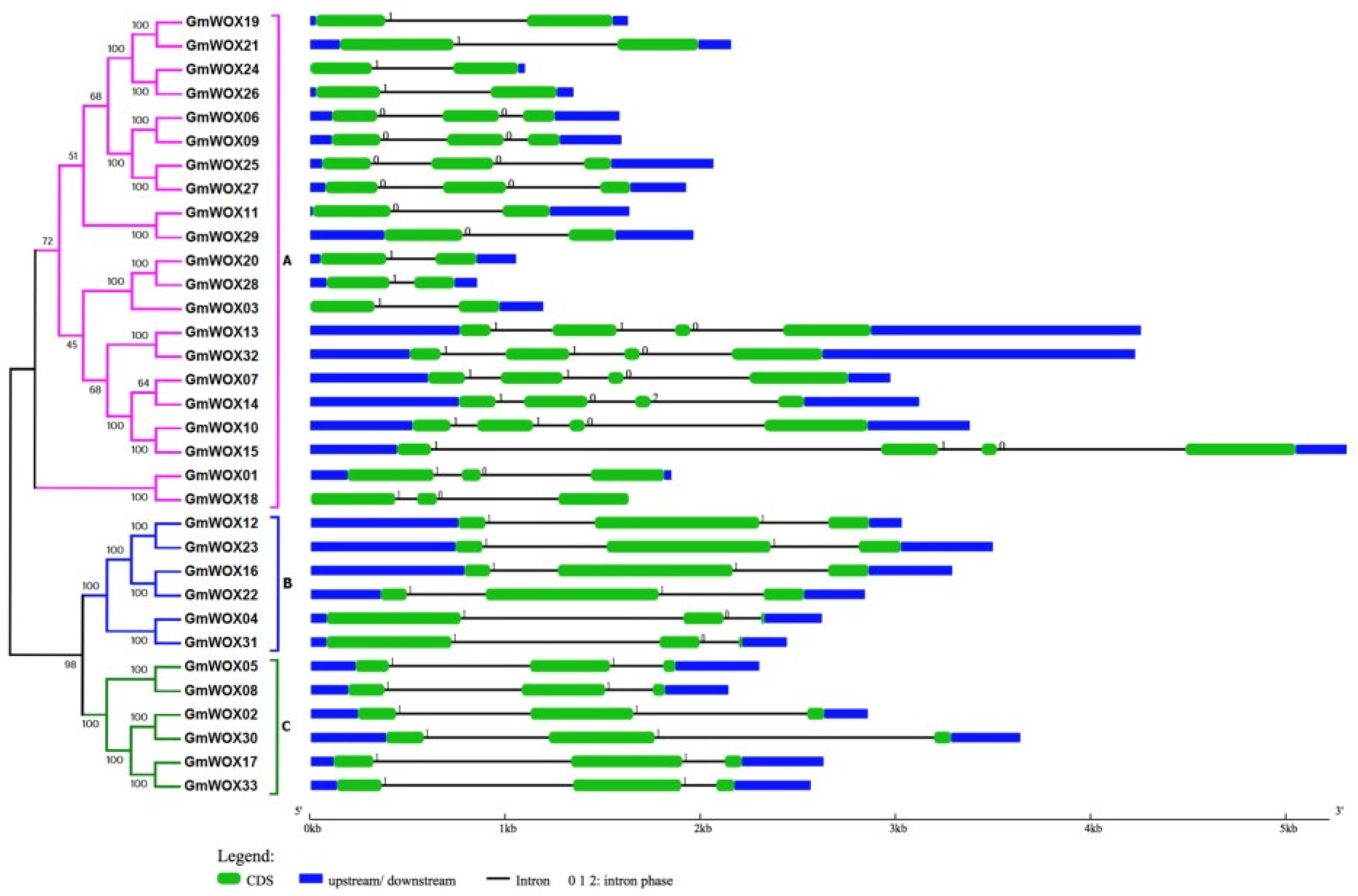 Plants 08 00215 g002