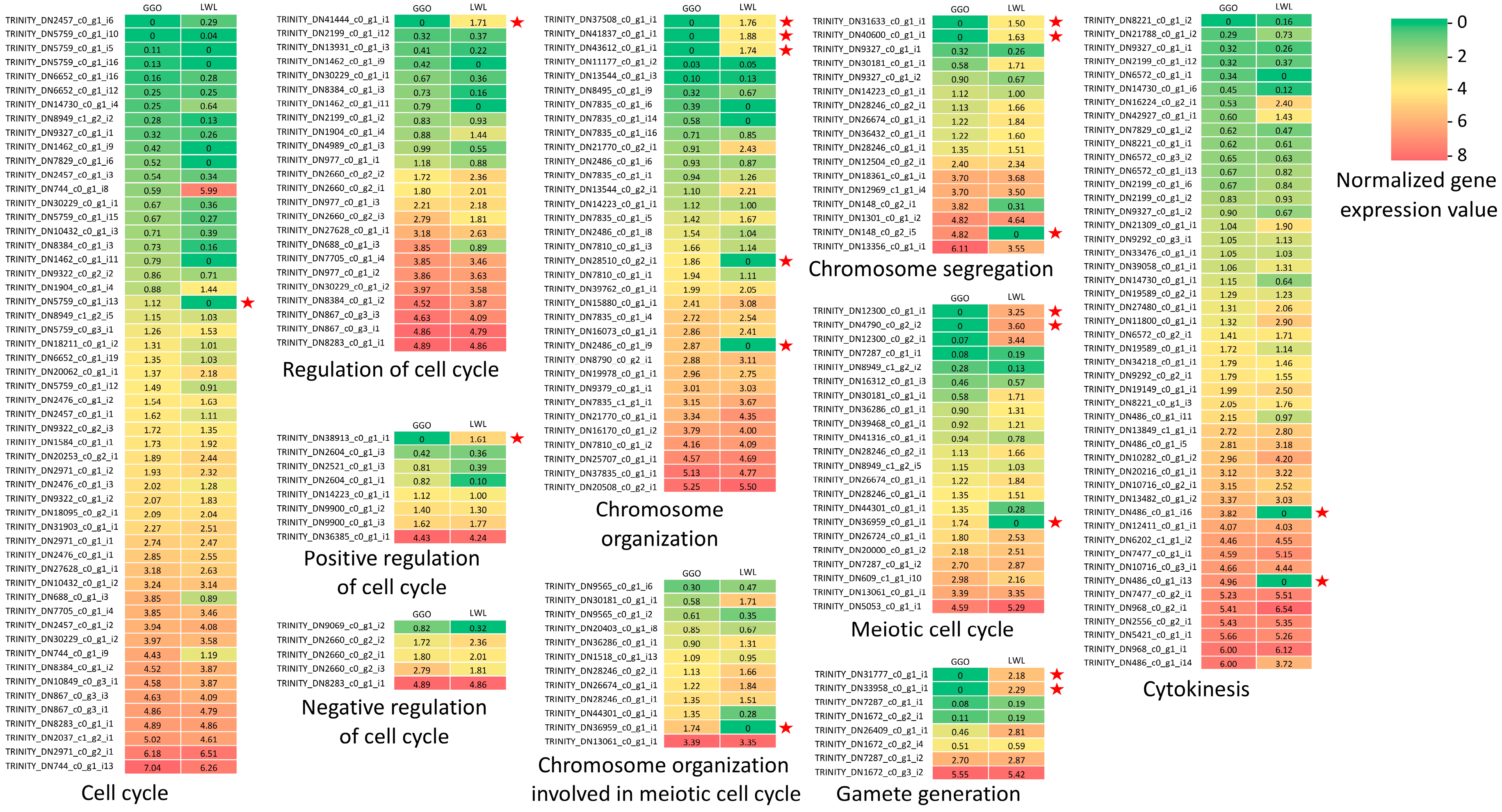 Plants 08 00263 g004