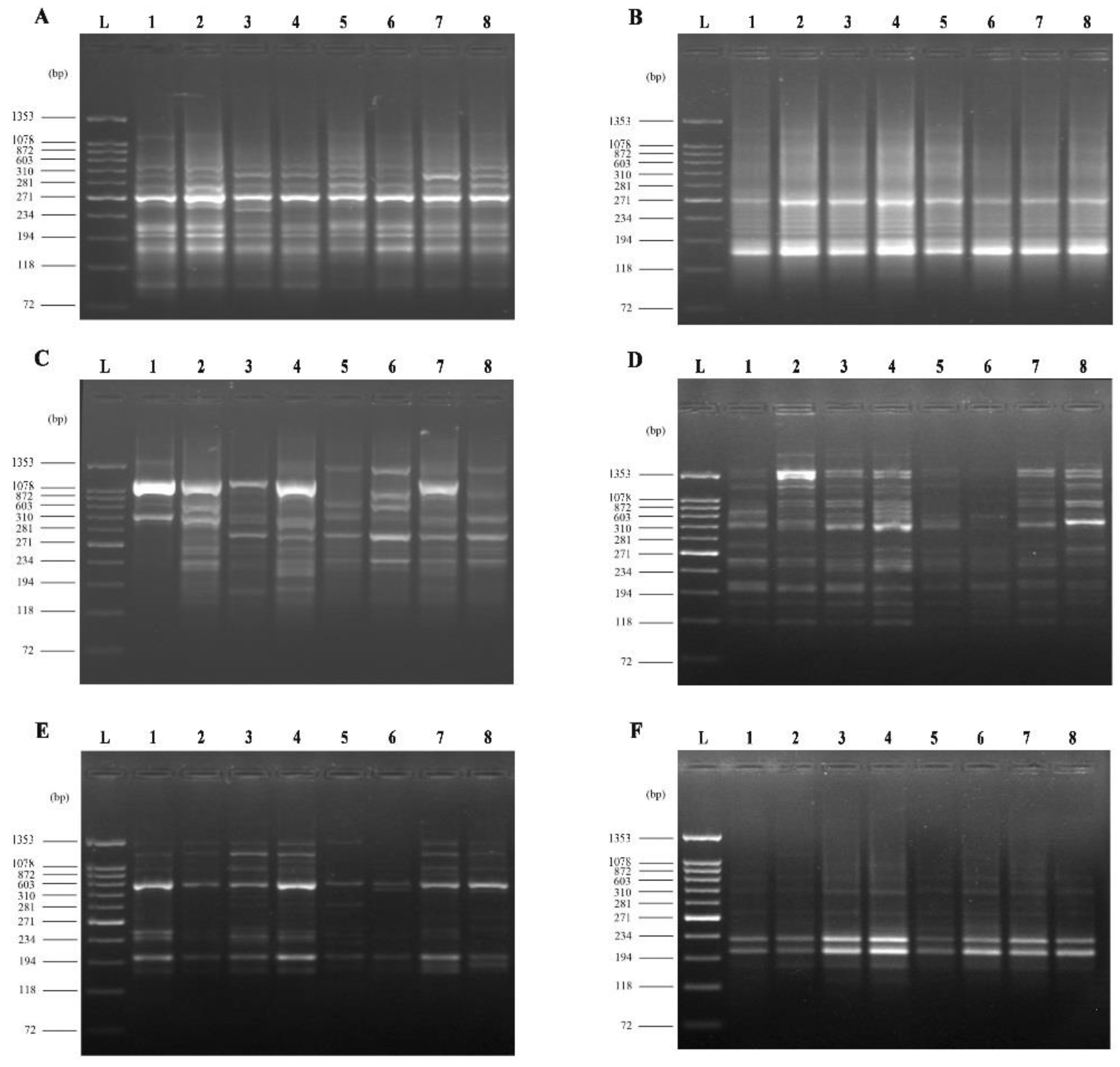 Plants Free Full Text Eustress With H2o2 Facilitates Plant Growth By Improving Tolerance To Salt Stress In Two Wheat Cultivars Html